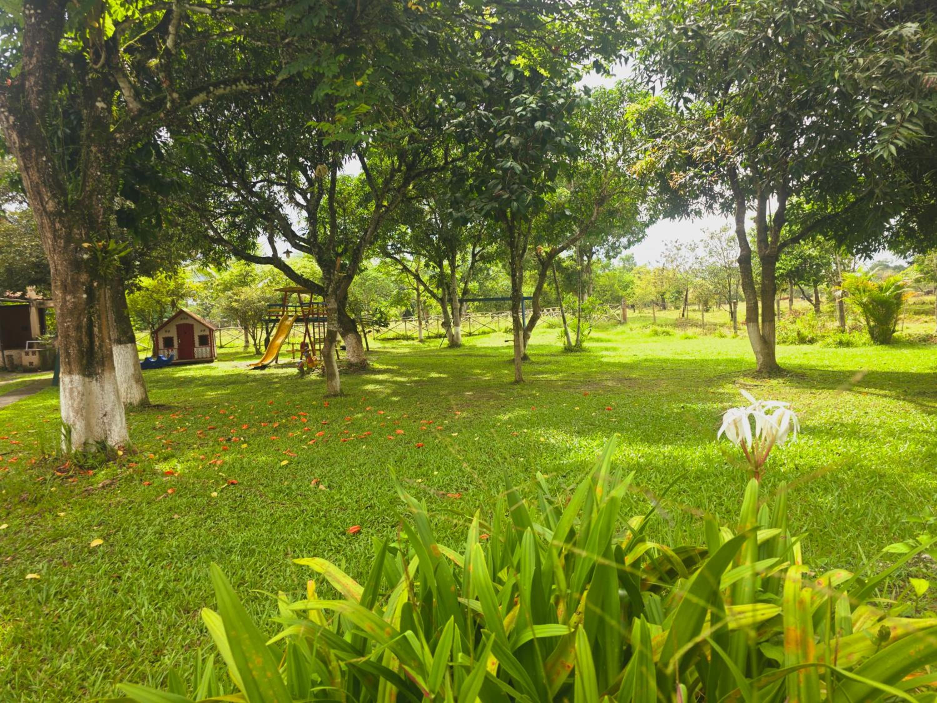 Sítio Em Guapimirim
