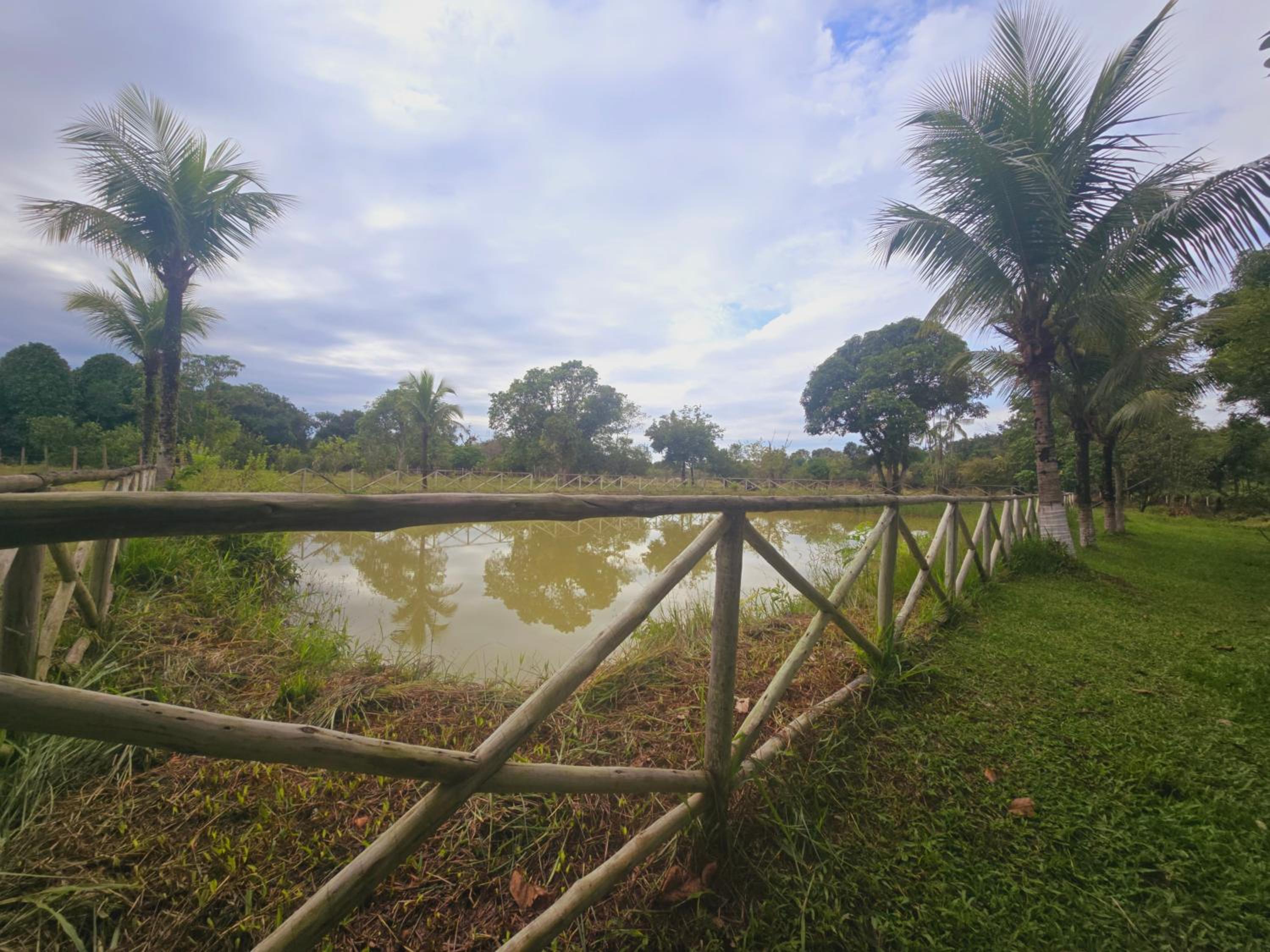 Sítio Em Guapimirim