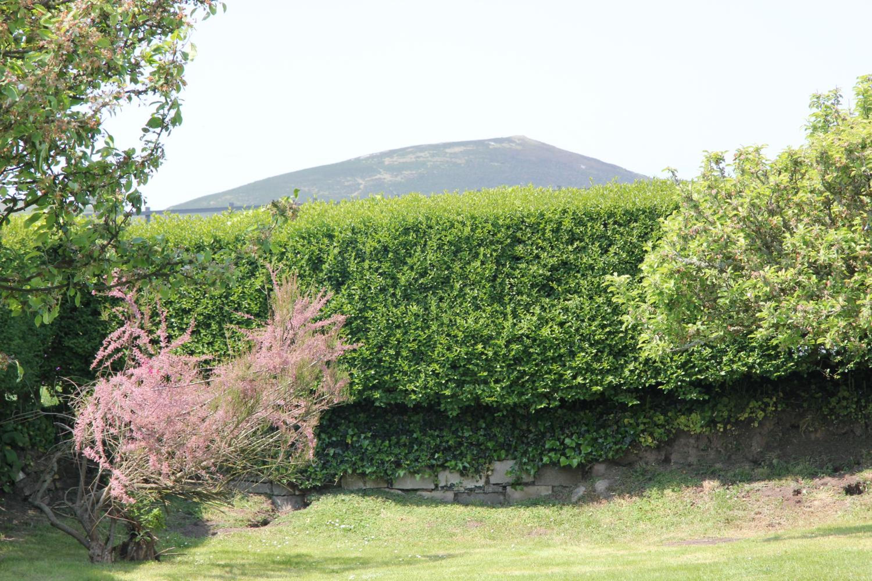 Photo 49