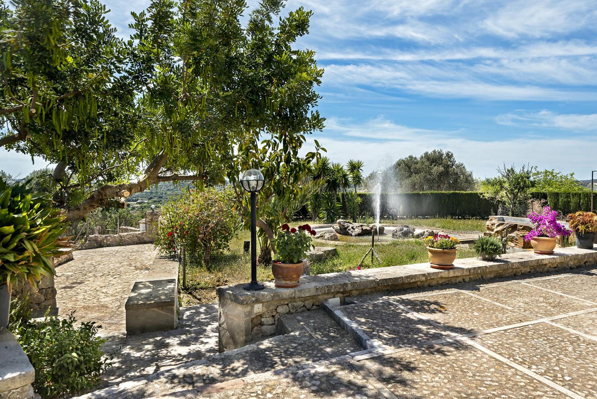 Auxella Gran