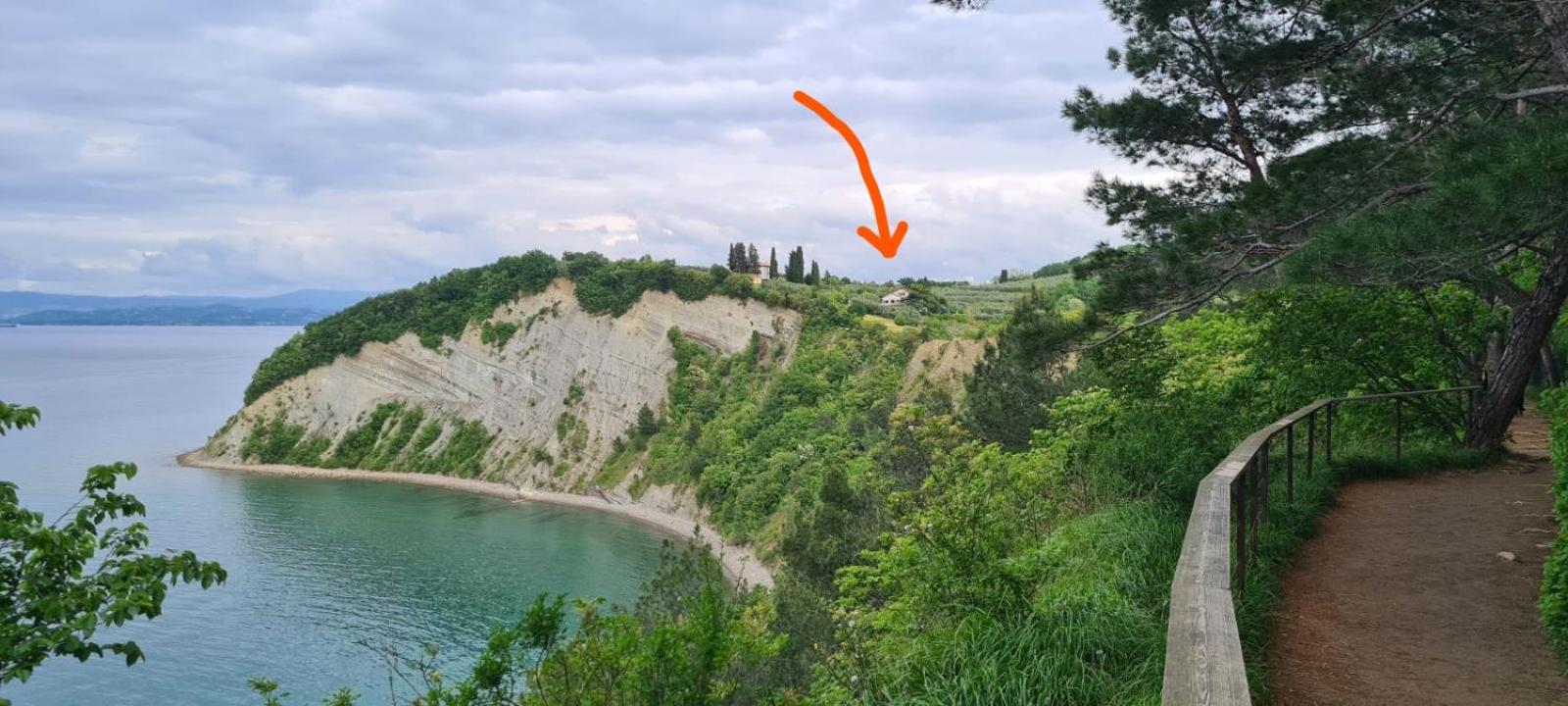 House Olive Garden Strunjan view 3