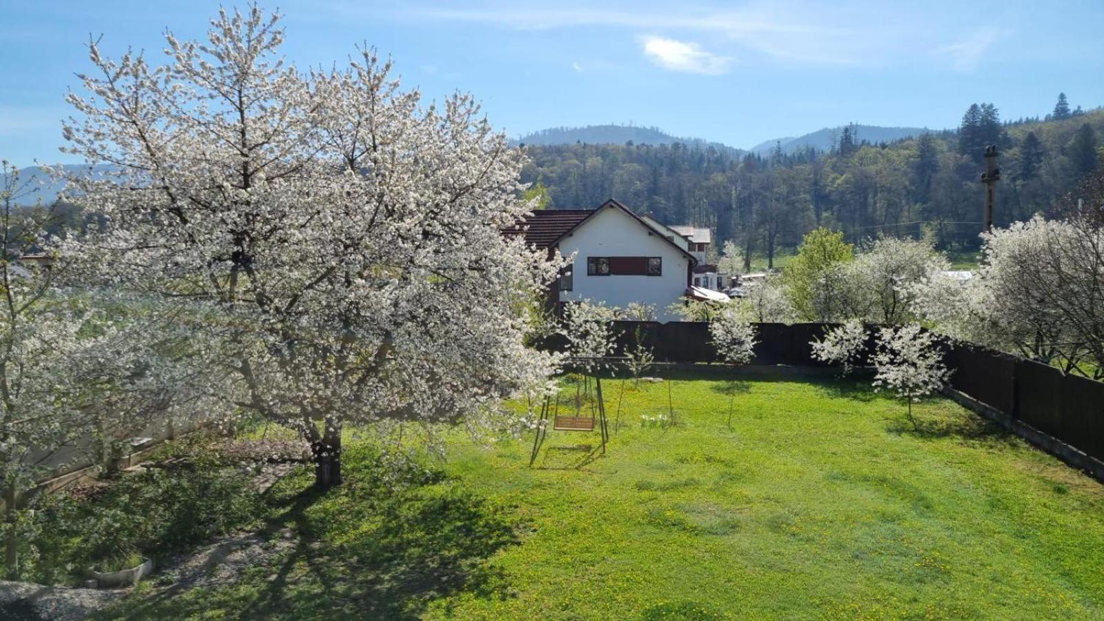 Vila Petra