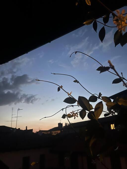 Come a casa view 5