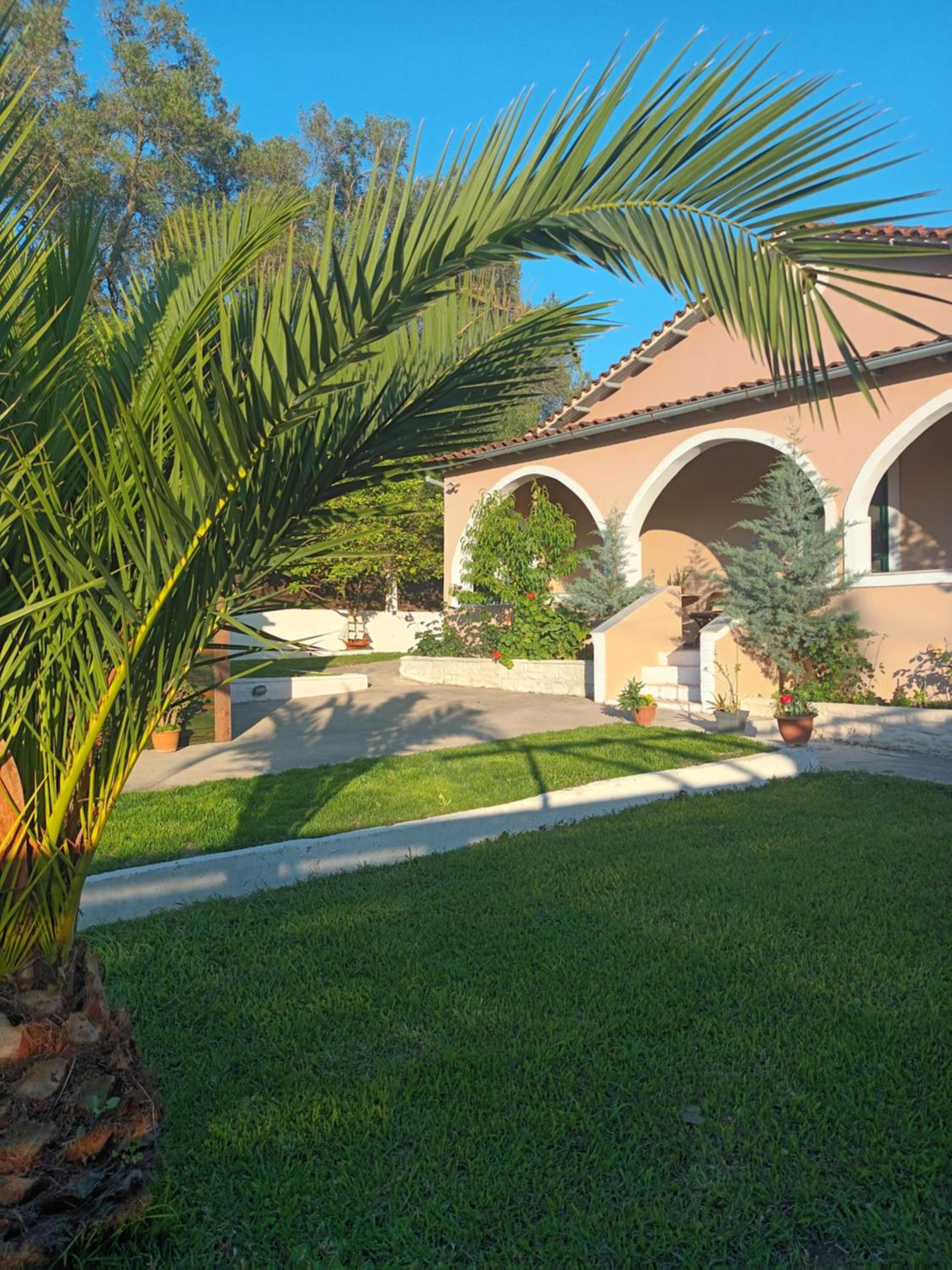 Villa Thanos photo 4