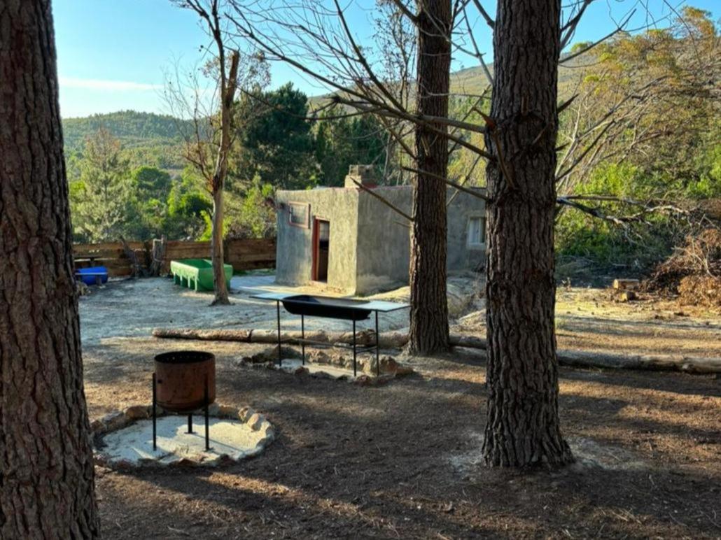 Bontjas Glamping