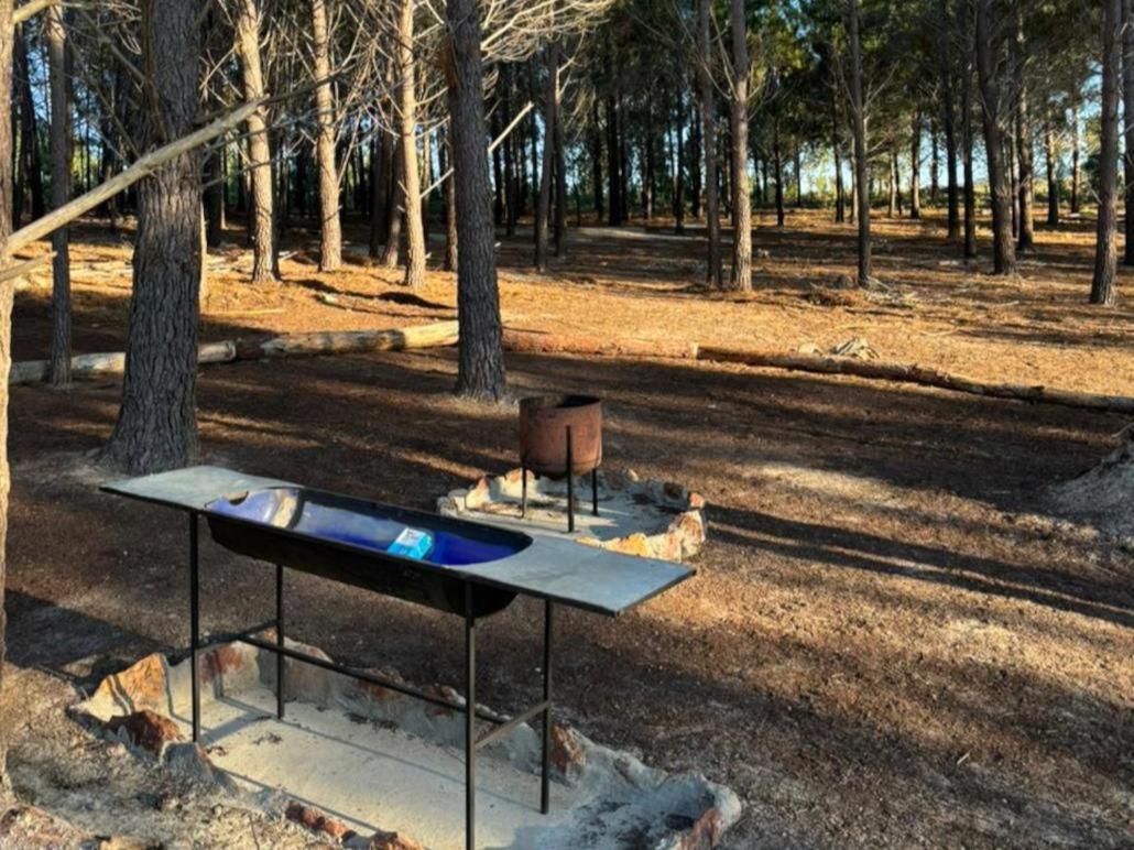 Bontjas Glamping