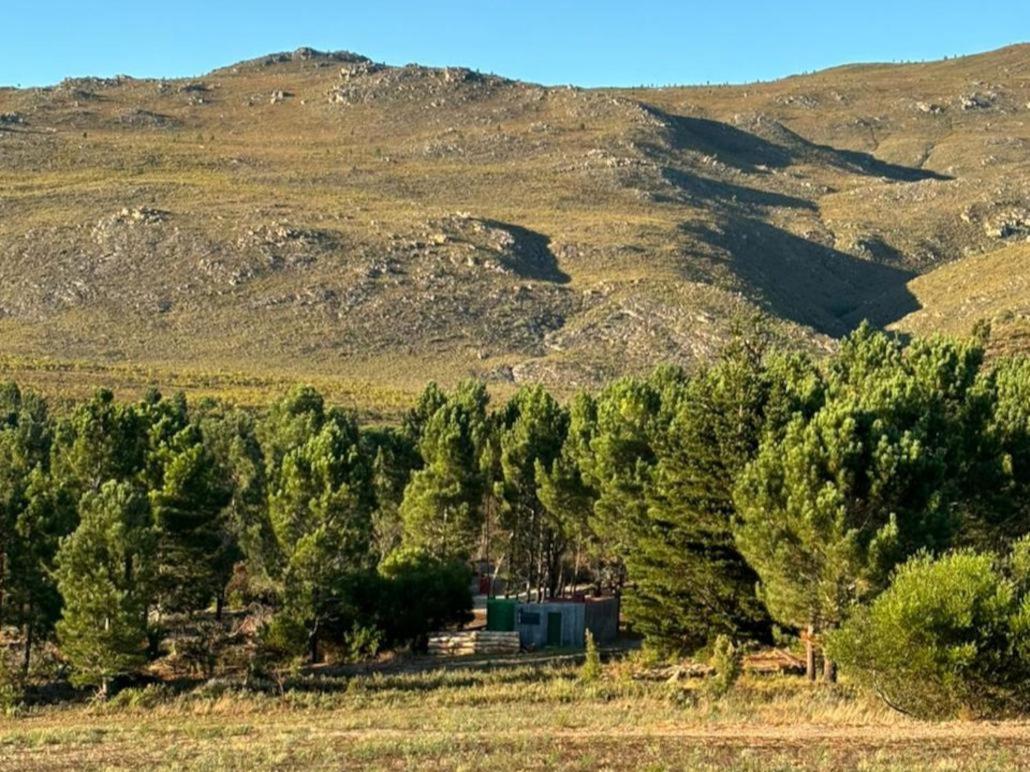 Bontjas Glamping