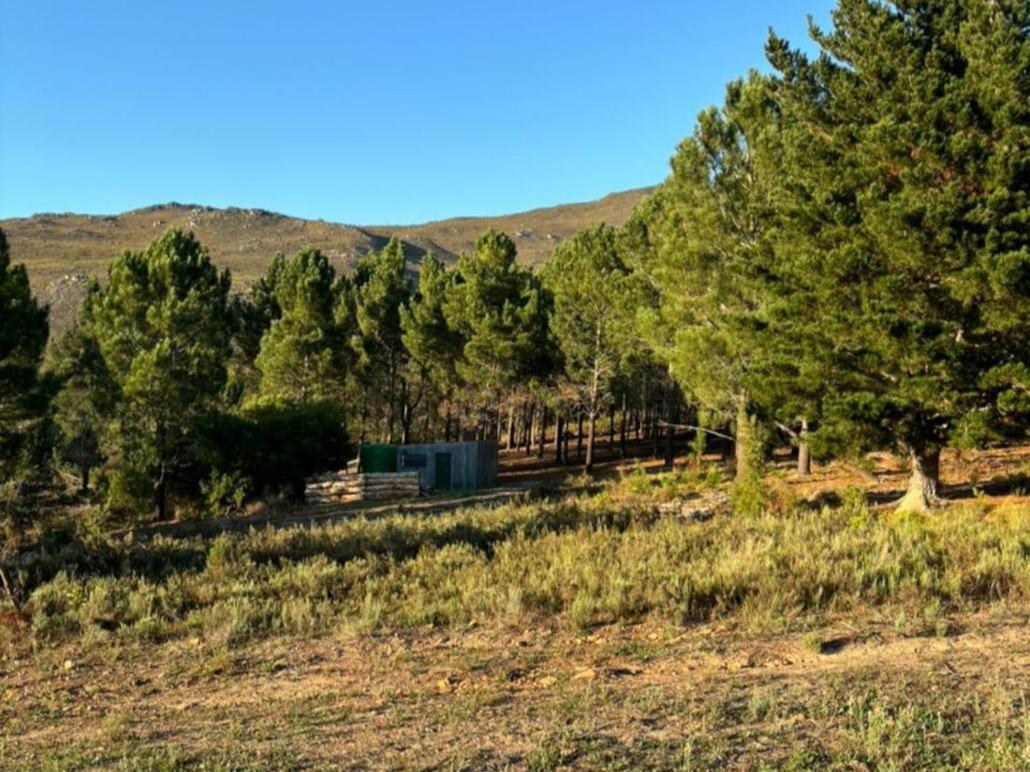 Bontjas Glamping