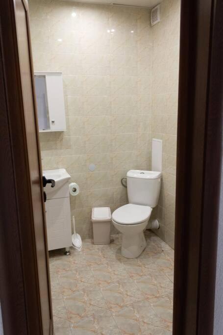 Borilov City Center Apartment