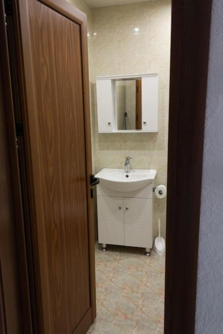 Borilov City Center Apartment