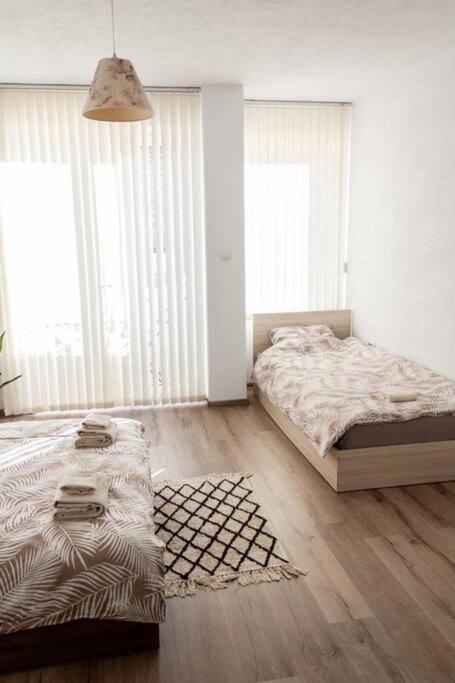 Borilov City Center Apartment