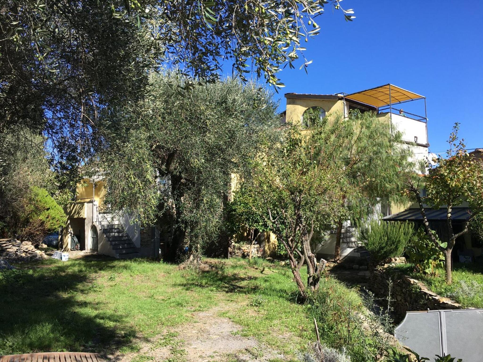 Photo 24