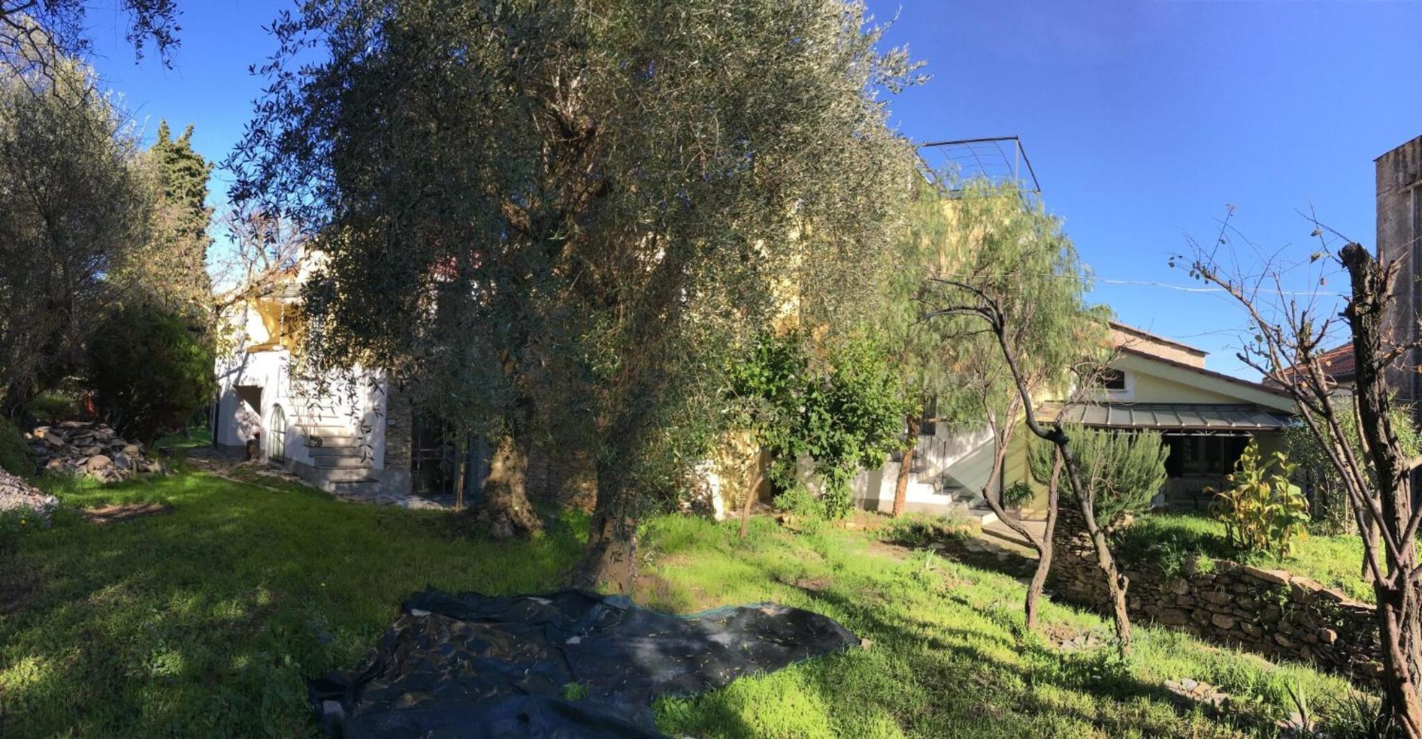 Romantisches appartamento oliva