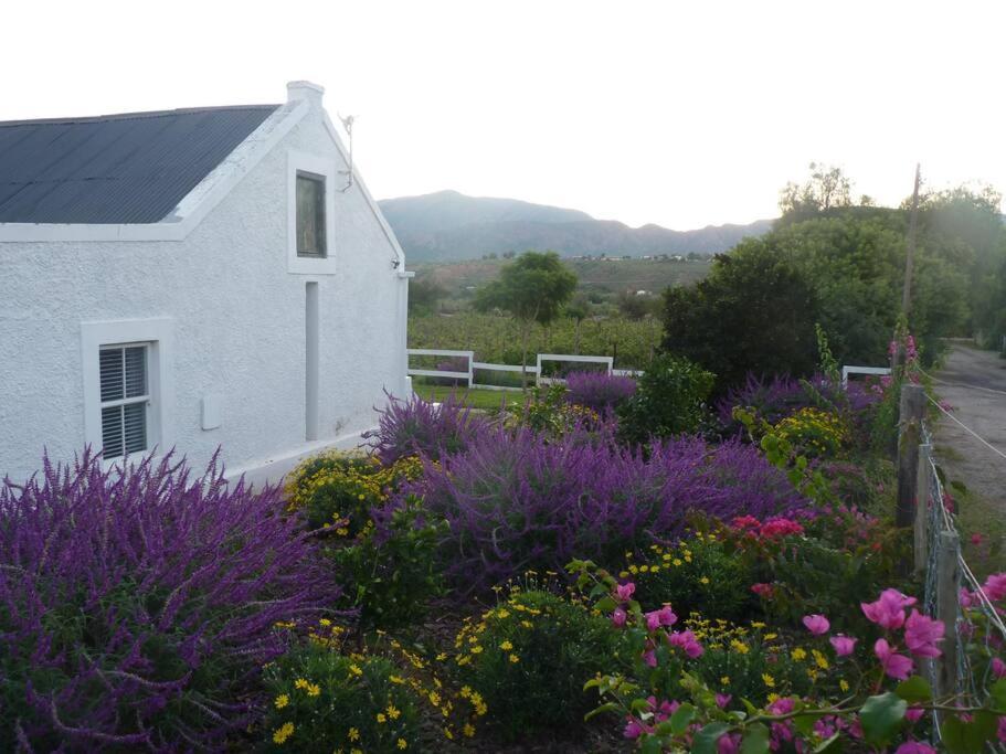 Moira's Cottage view 3