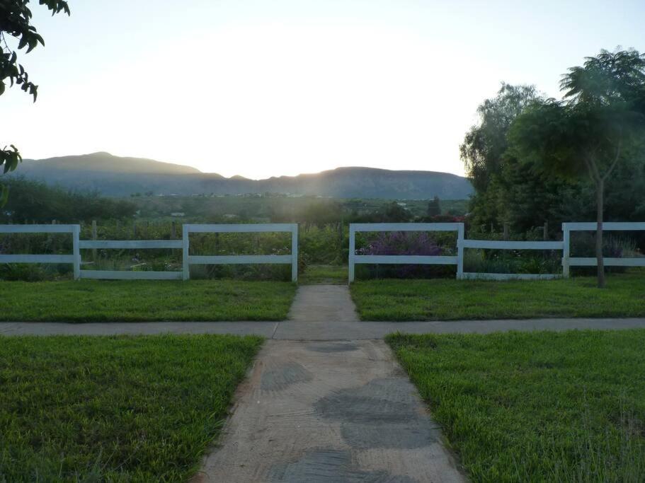 Photo 33