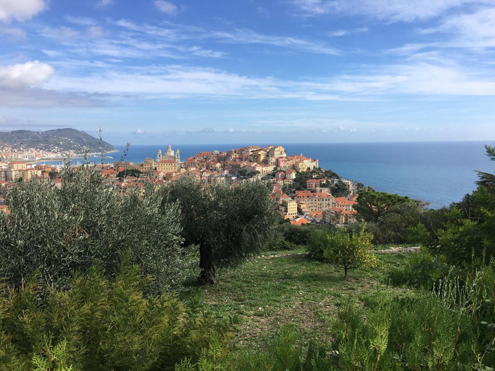 Romantisches appartamento oliva