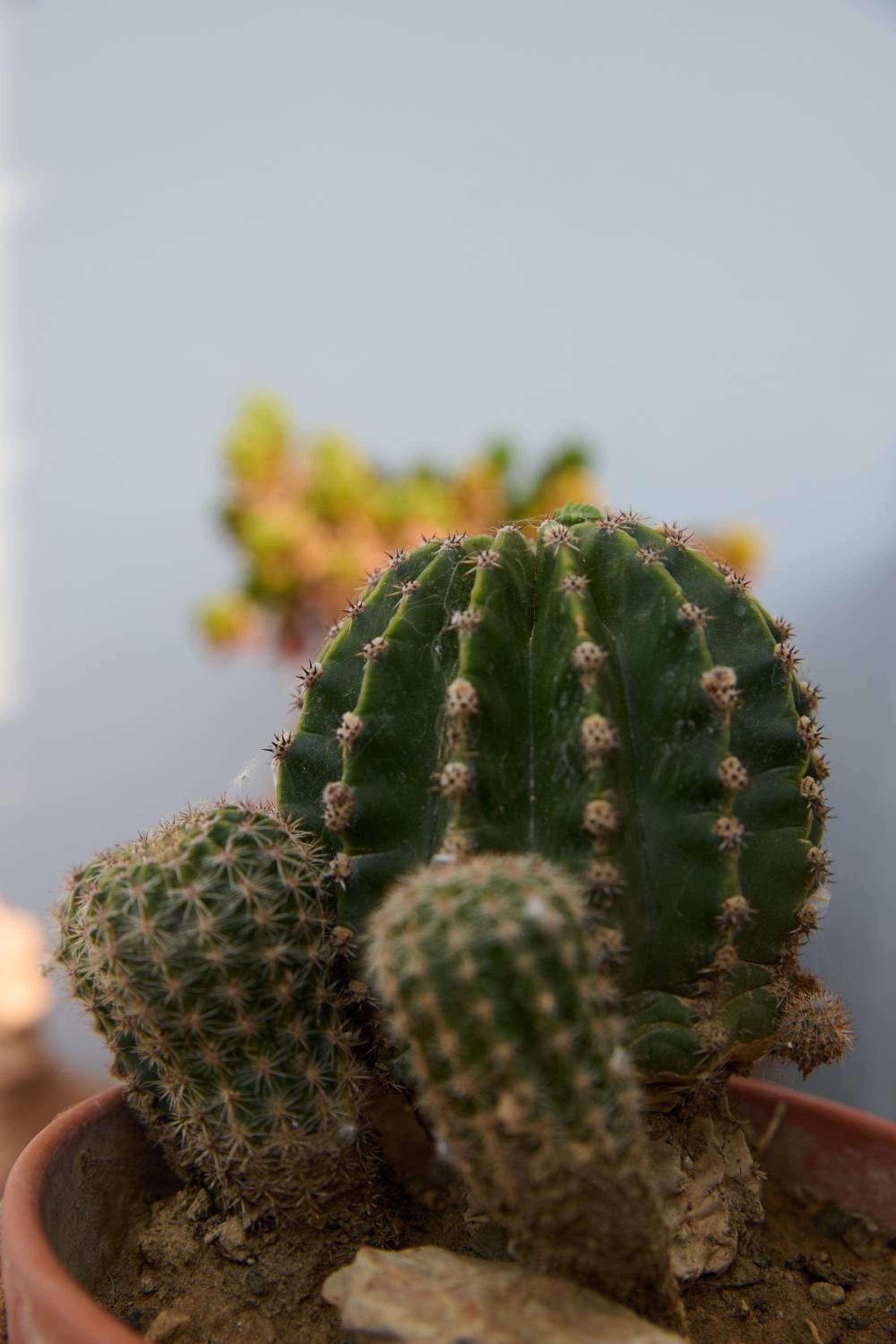 Photo 40