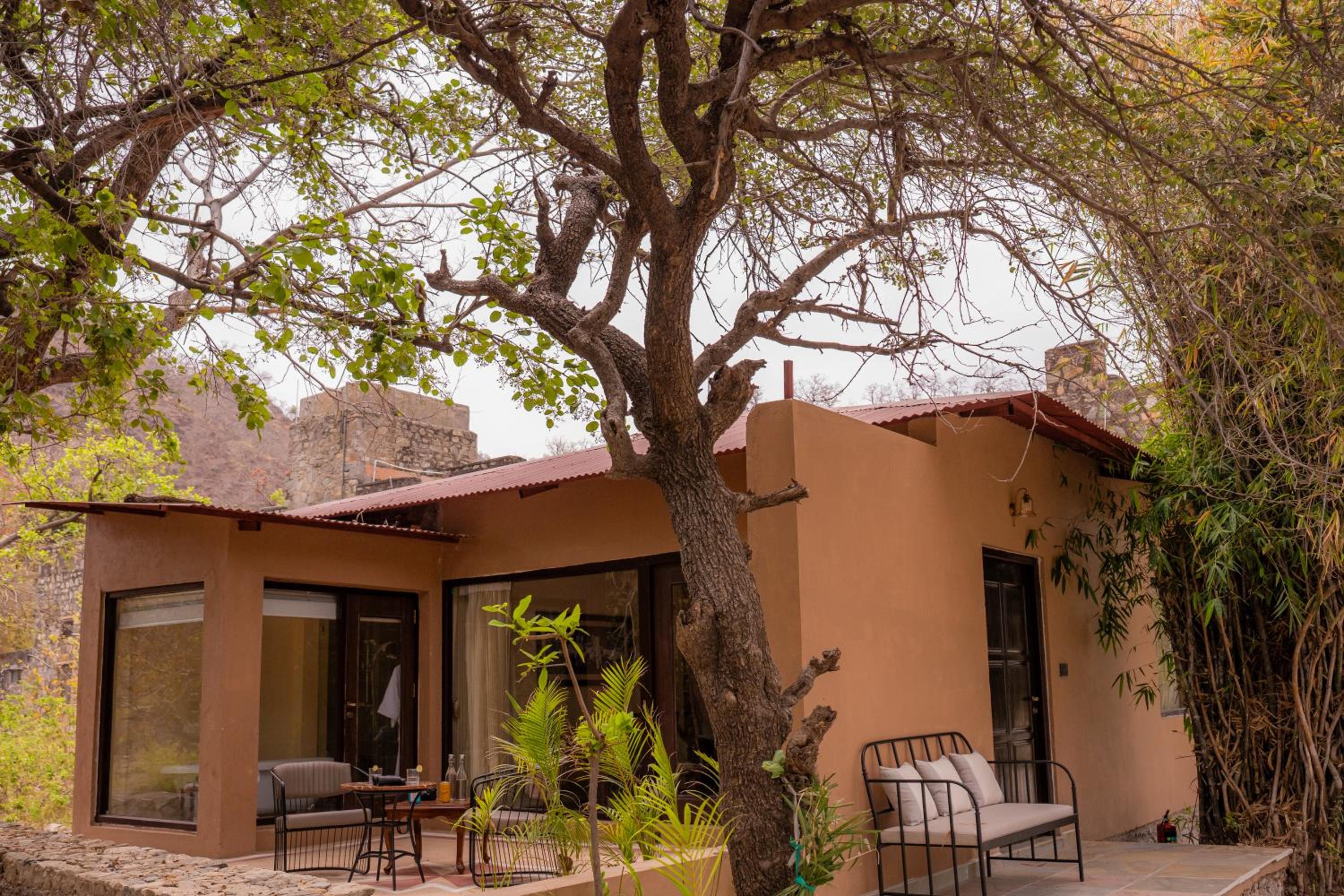 Aloof the Jungle Lodge Ranakpur view 2