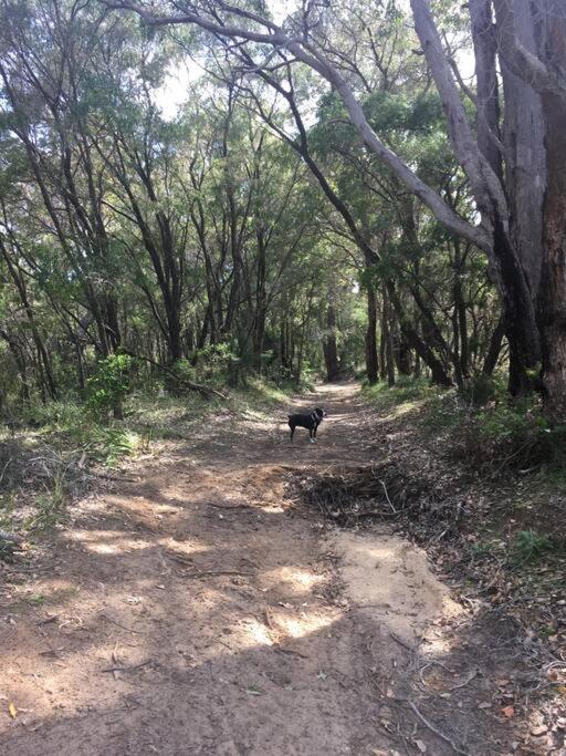 Yallingup Country Homestead