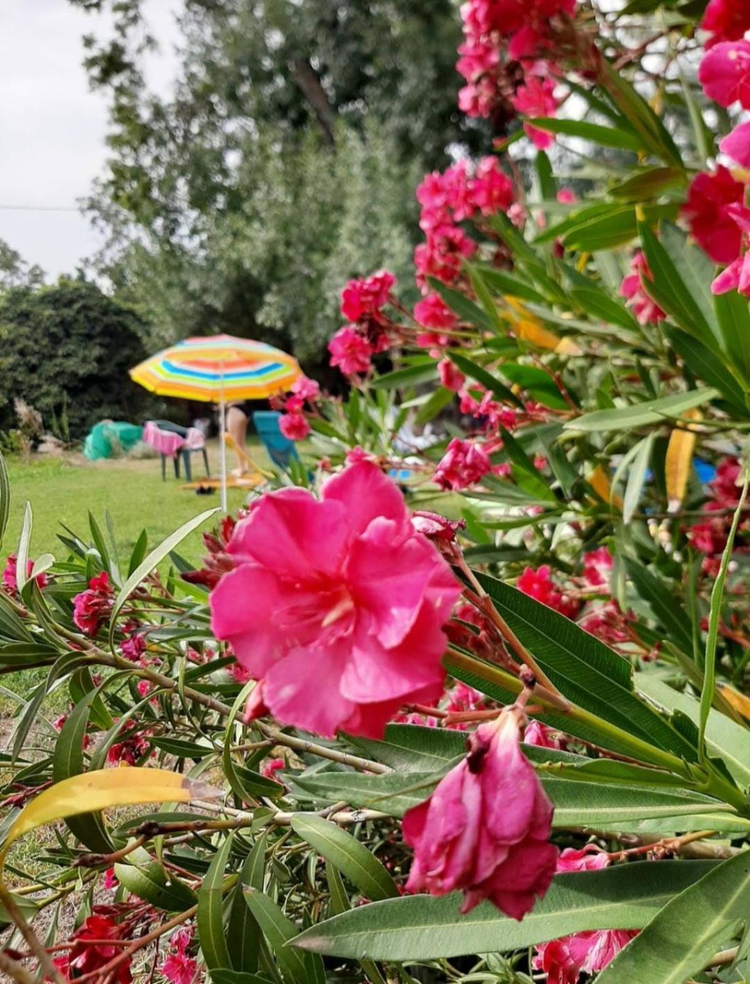 Preciosa cabaña con jardín y barbacoa