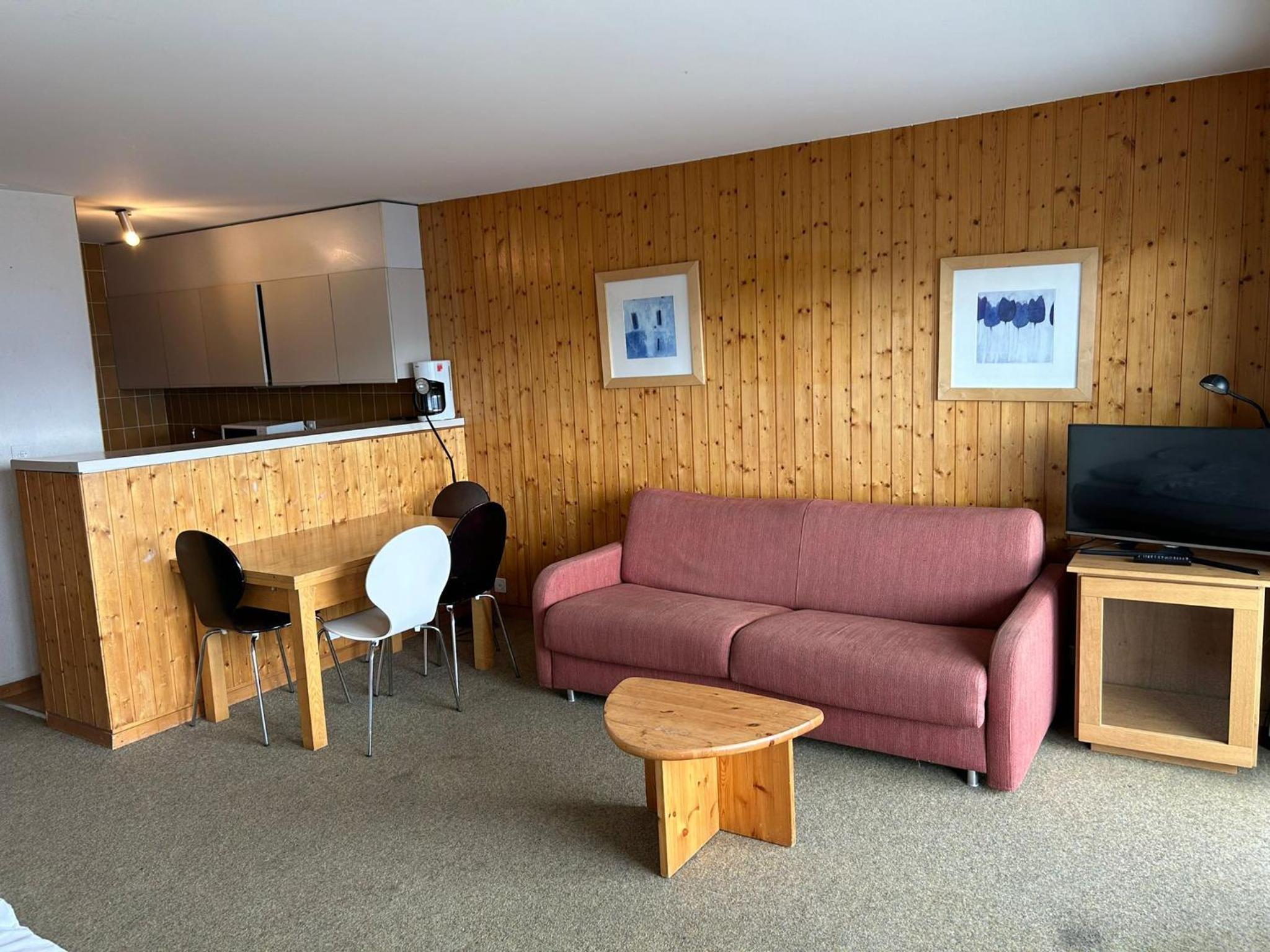 Diablerets SKI LIFT & MOUNTAIN apartments view 5