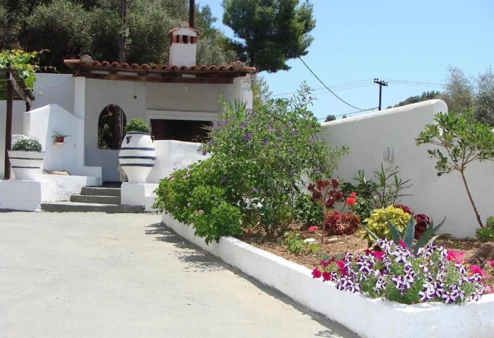 F & B Collection - Skiathos - Kanapitsa- Diamanti view 3