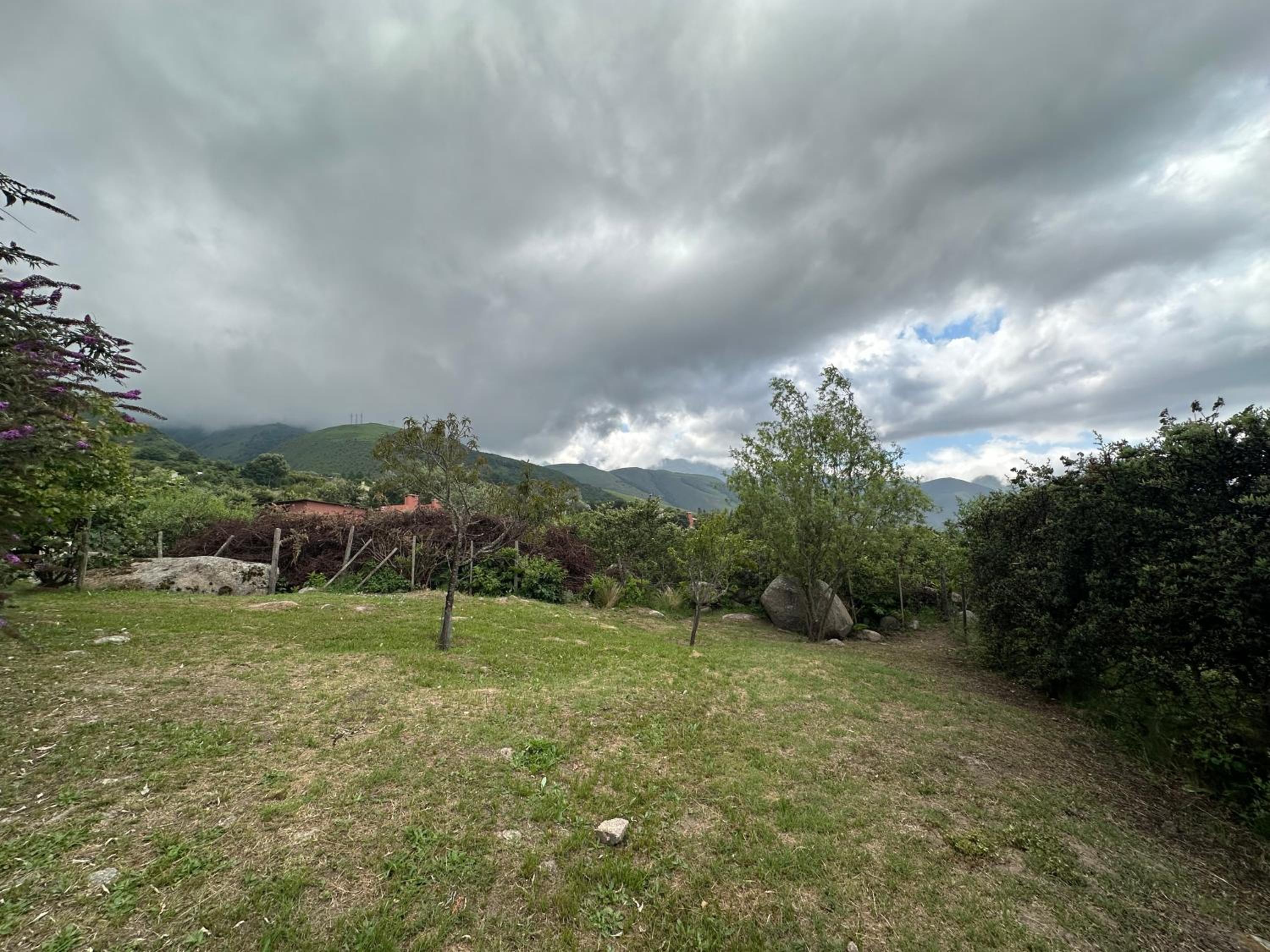 TAFI DEL VALLE QUESERIA TEMPORARIO