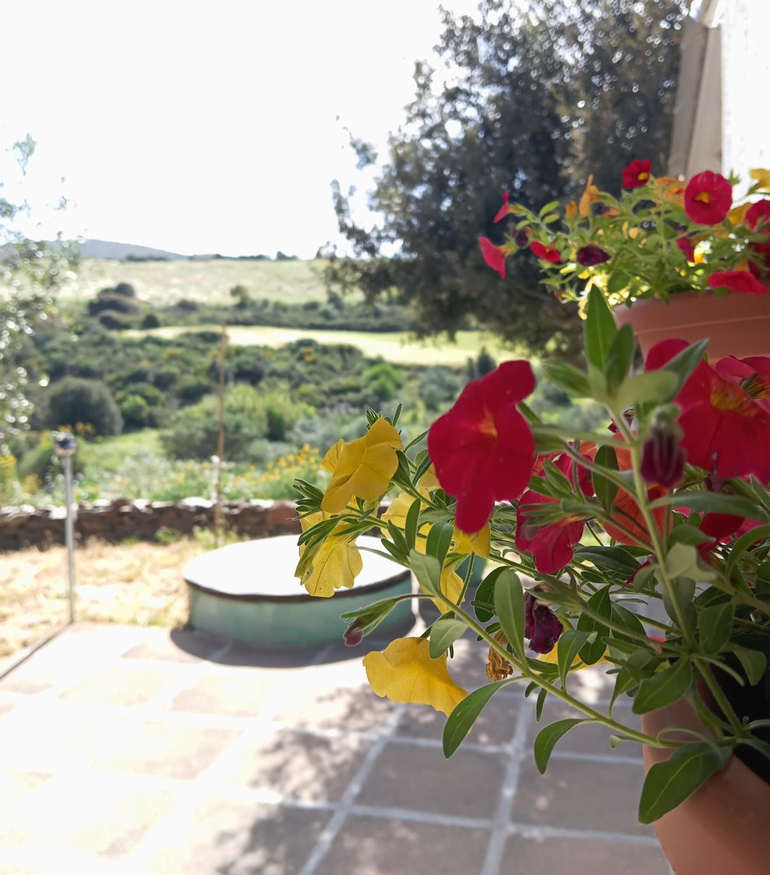 Da Nonno Francesco view 5