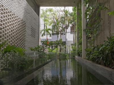 The house close to nature