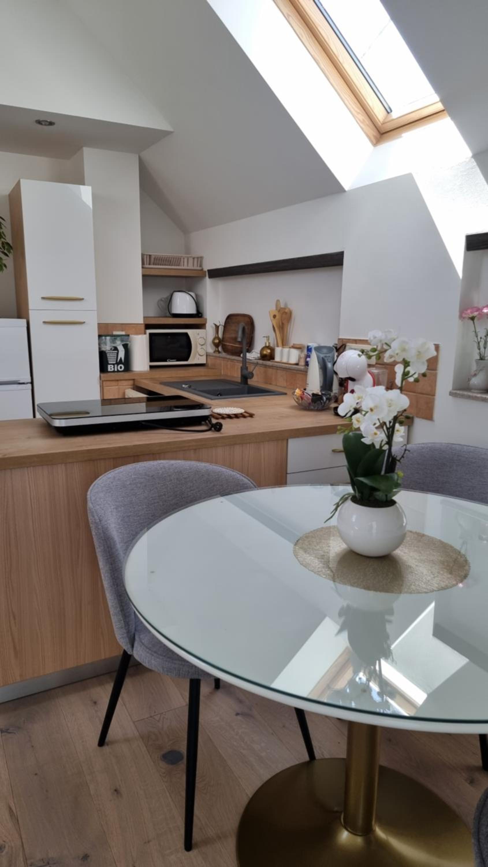 Apartma Katarina