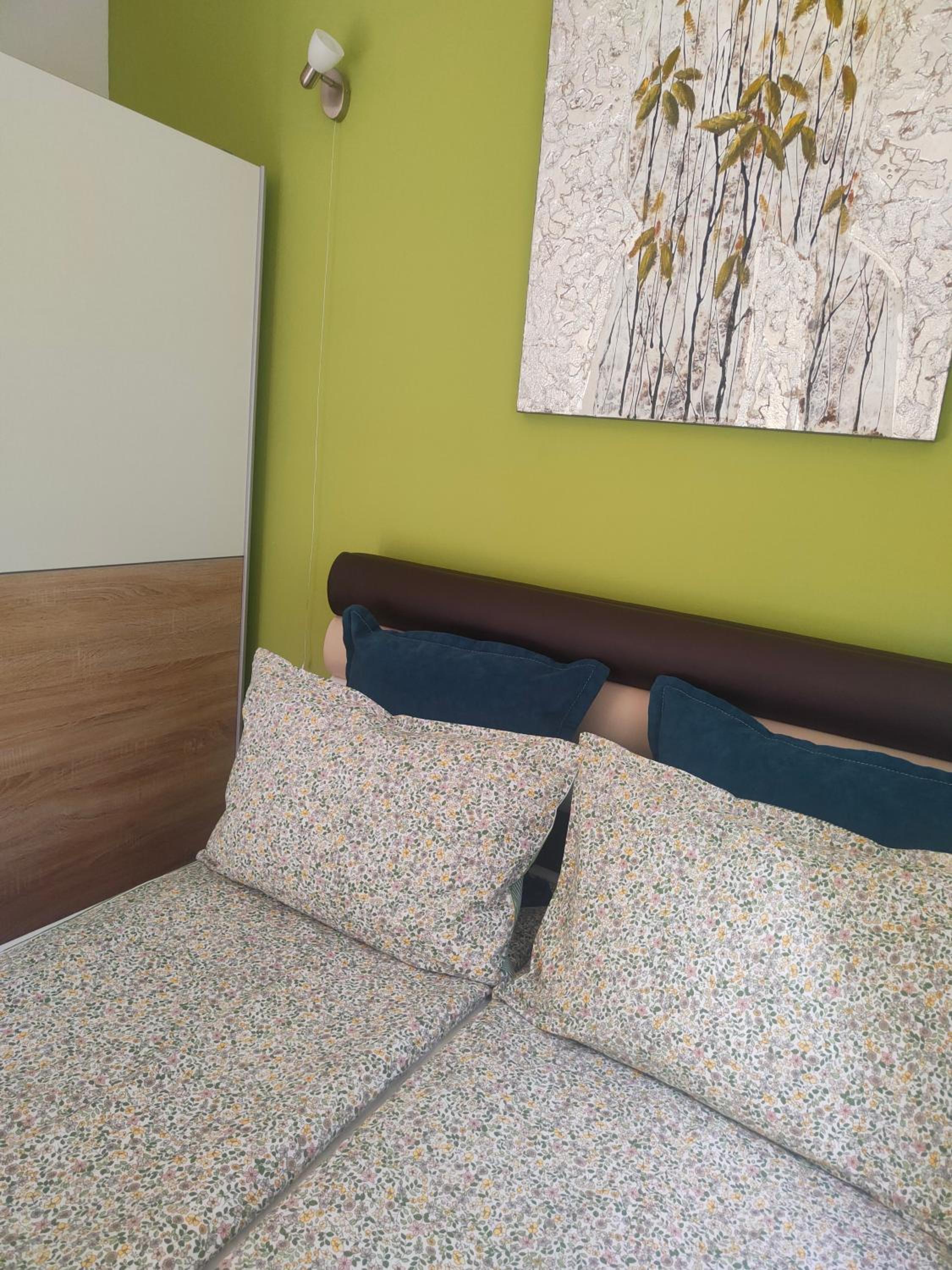 Apartman Harmonija Vrnjačka Banja view 4