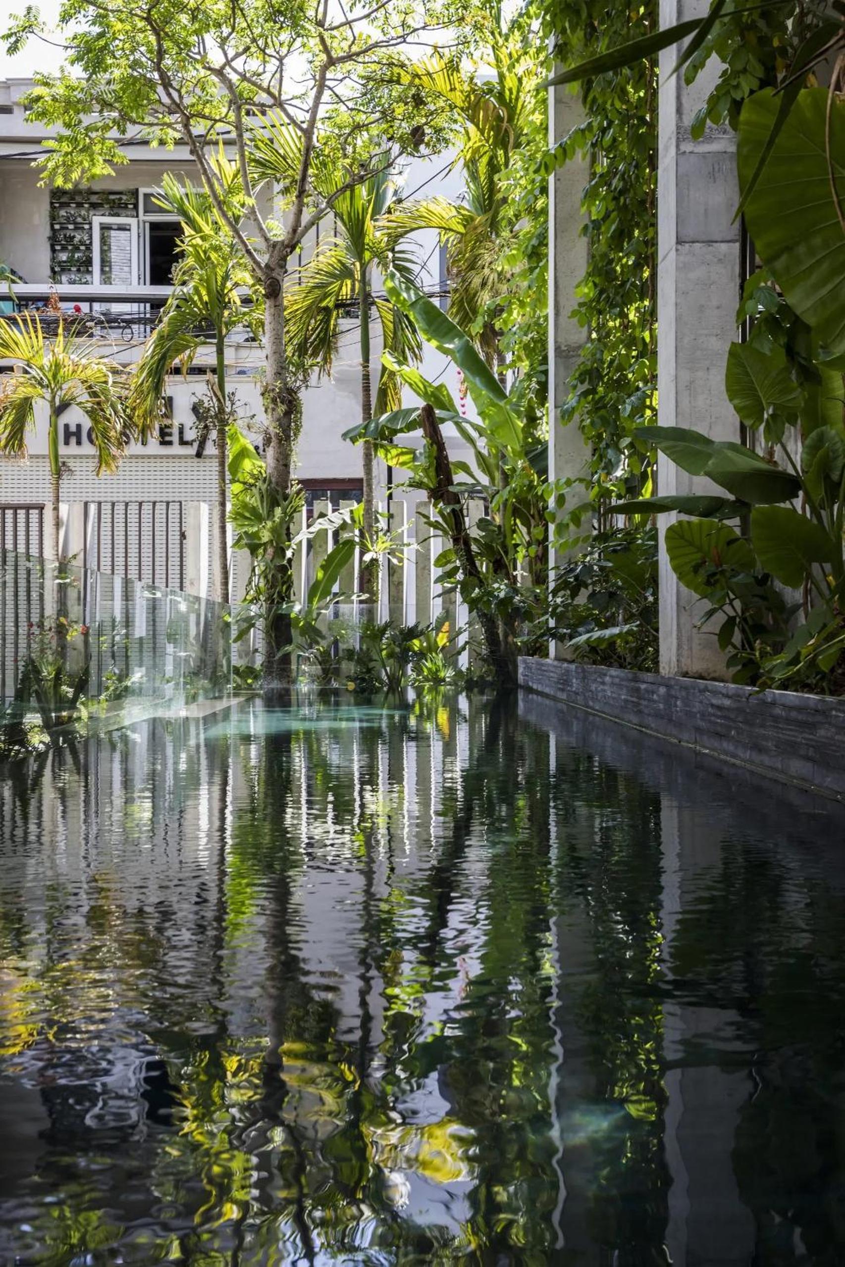 The house close to nature