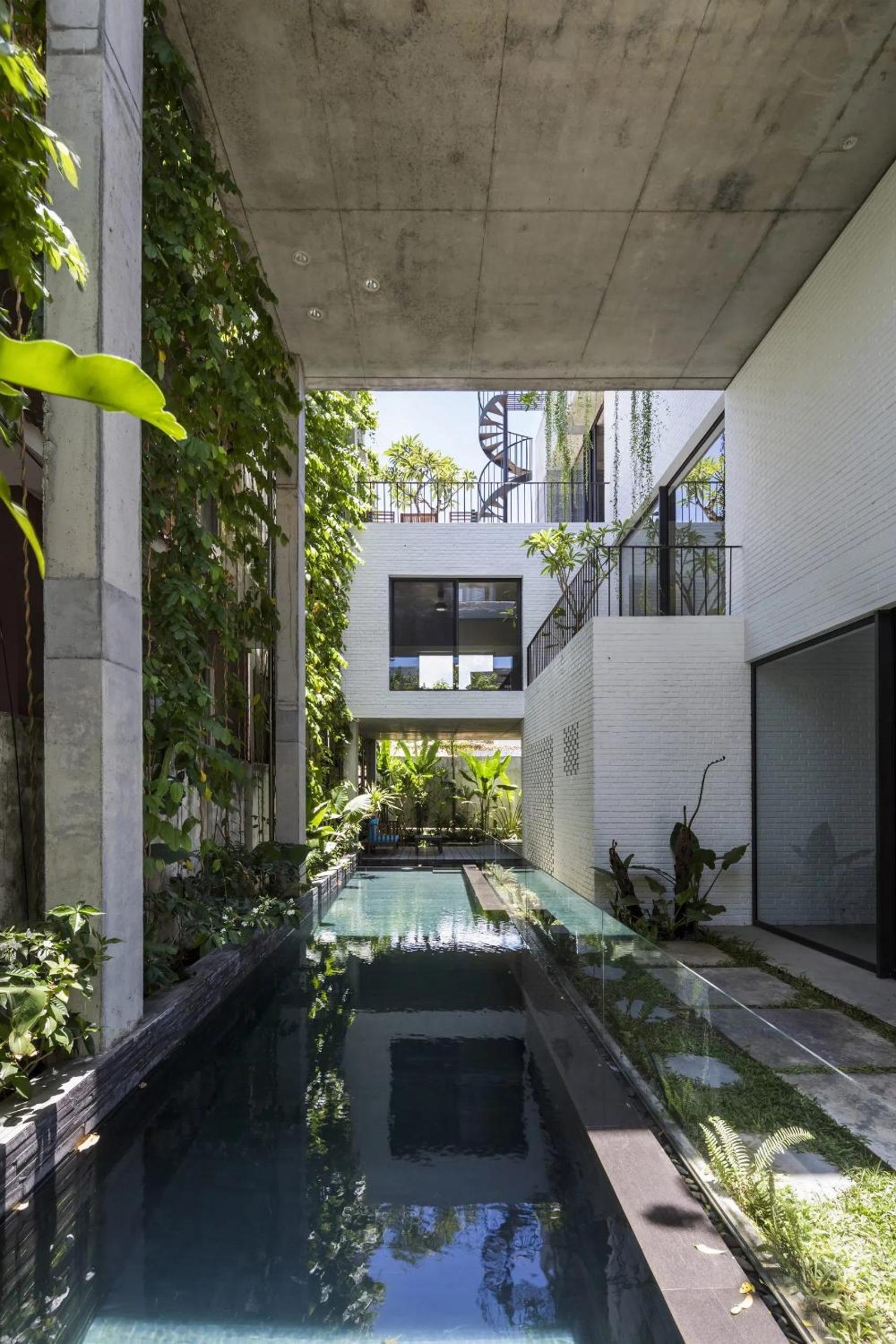 The house close to nature