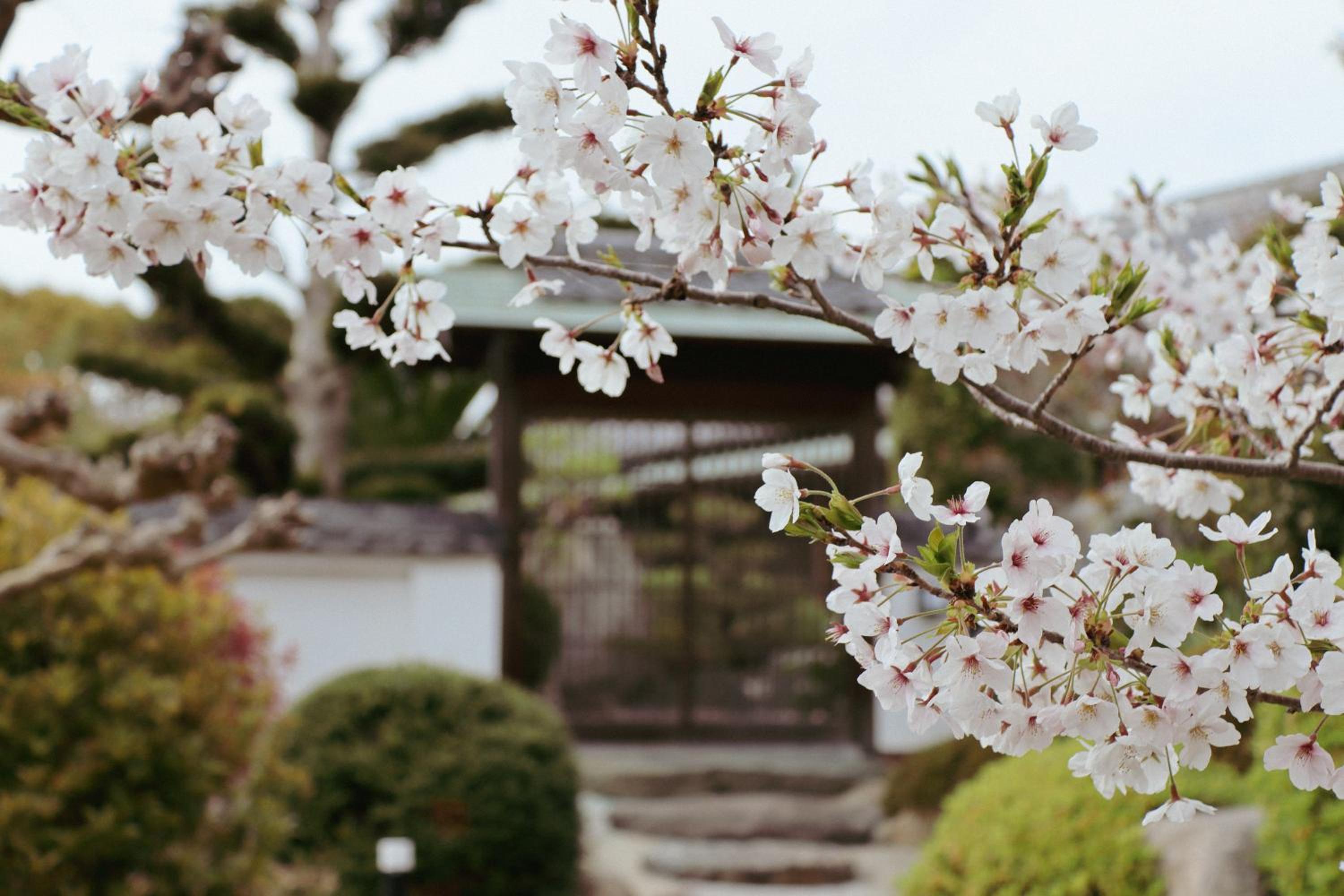 Villa SHINOBI -忍- view 2