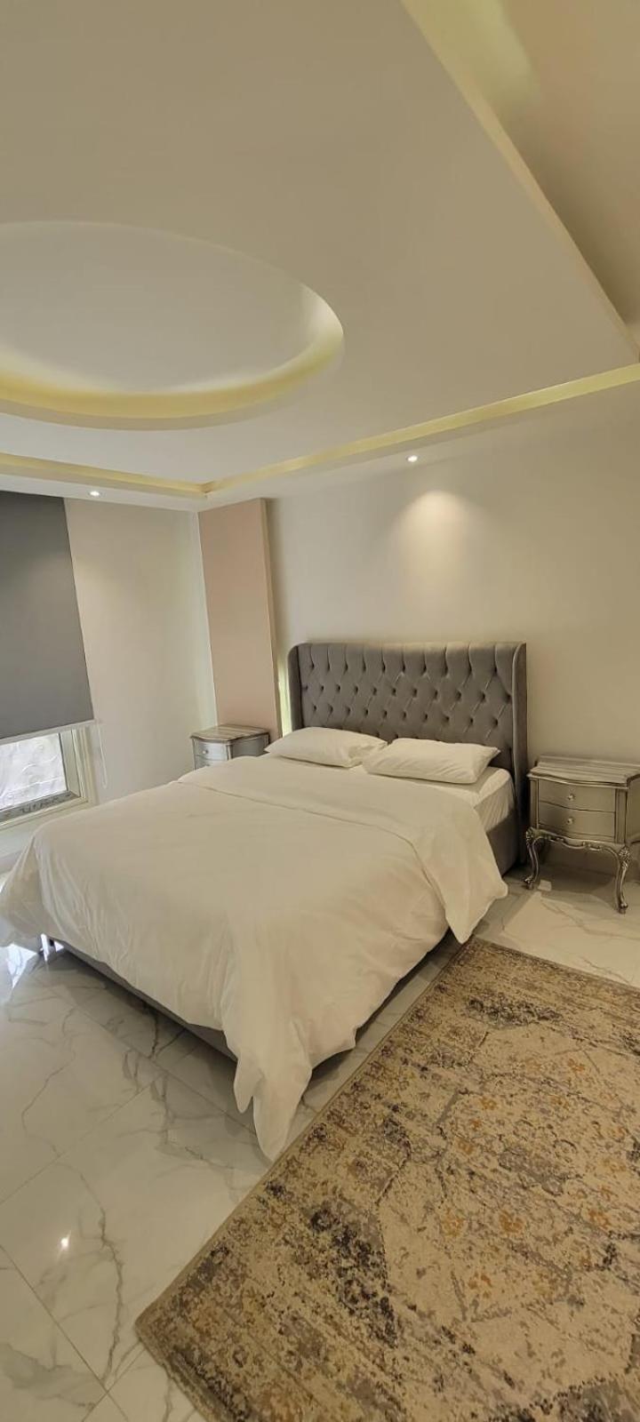 Luxury apartments Mohandiseen 403