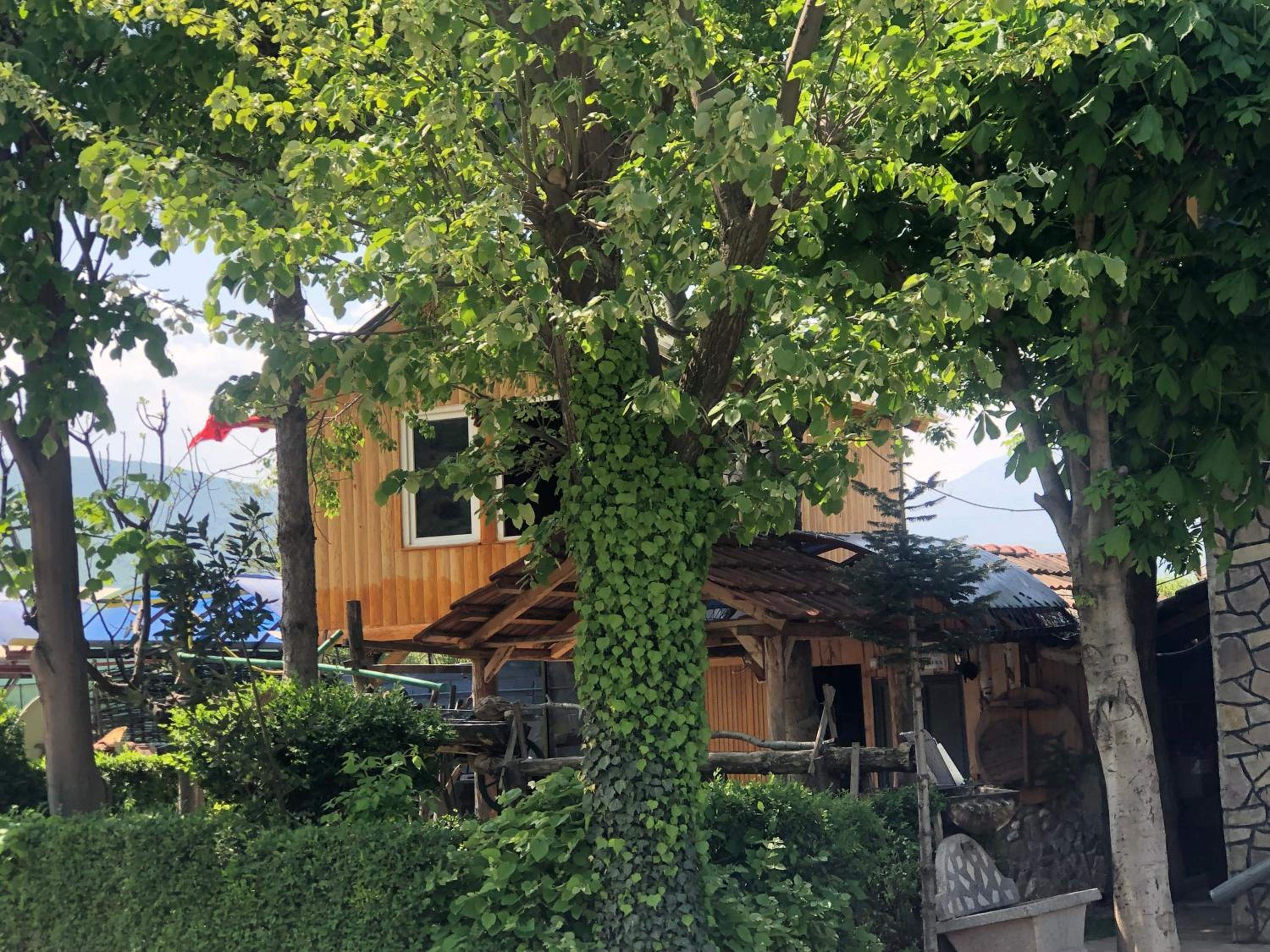 Bar restorant gashi