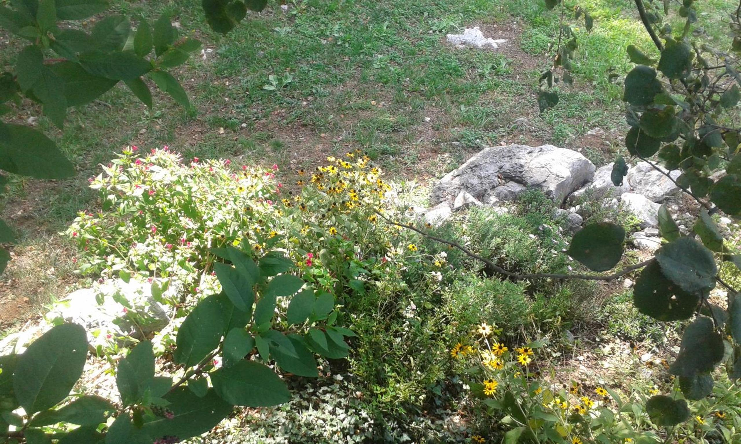 Photo 44