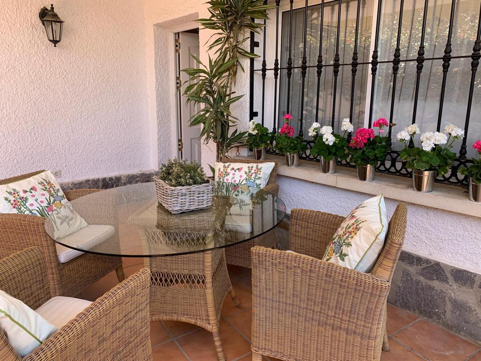 balance & terrace