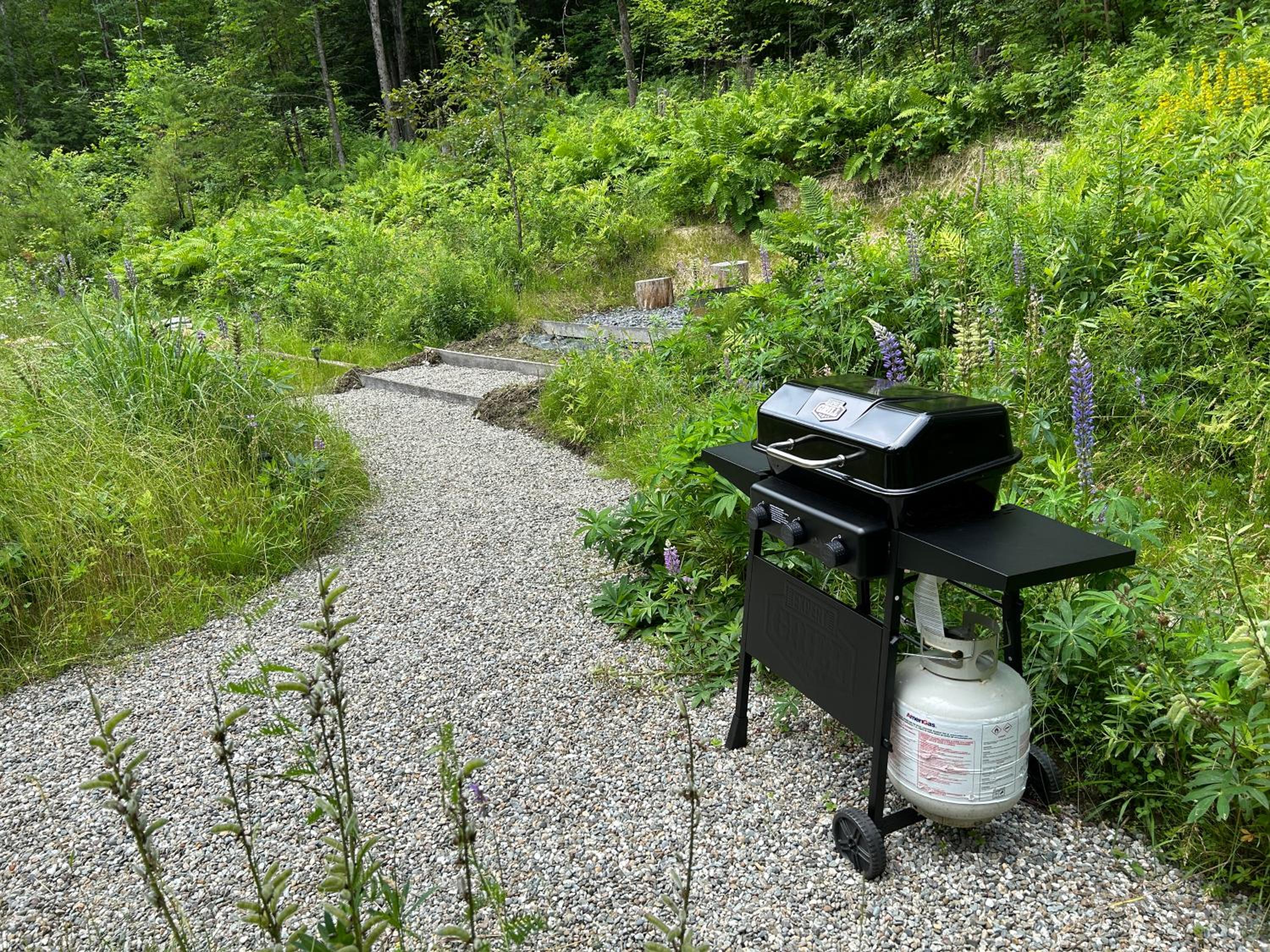 Moonlight Woods - Gardener's Log Cabin - Property Image 13