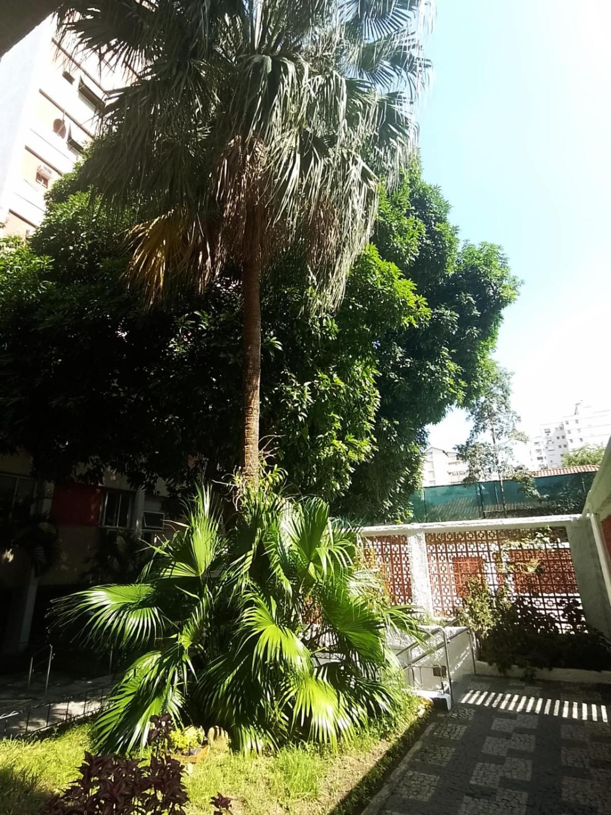 Apartamento Parque Jardim Europa view 3
