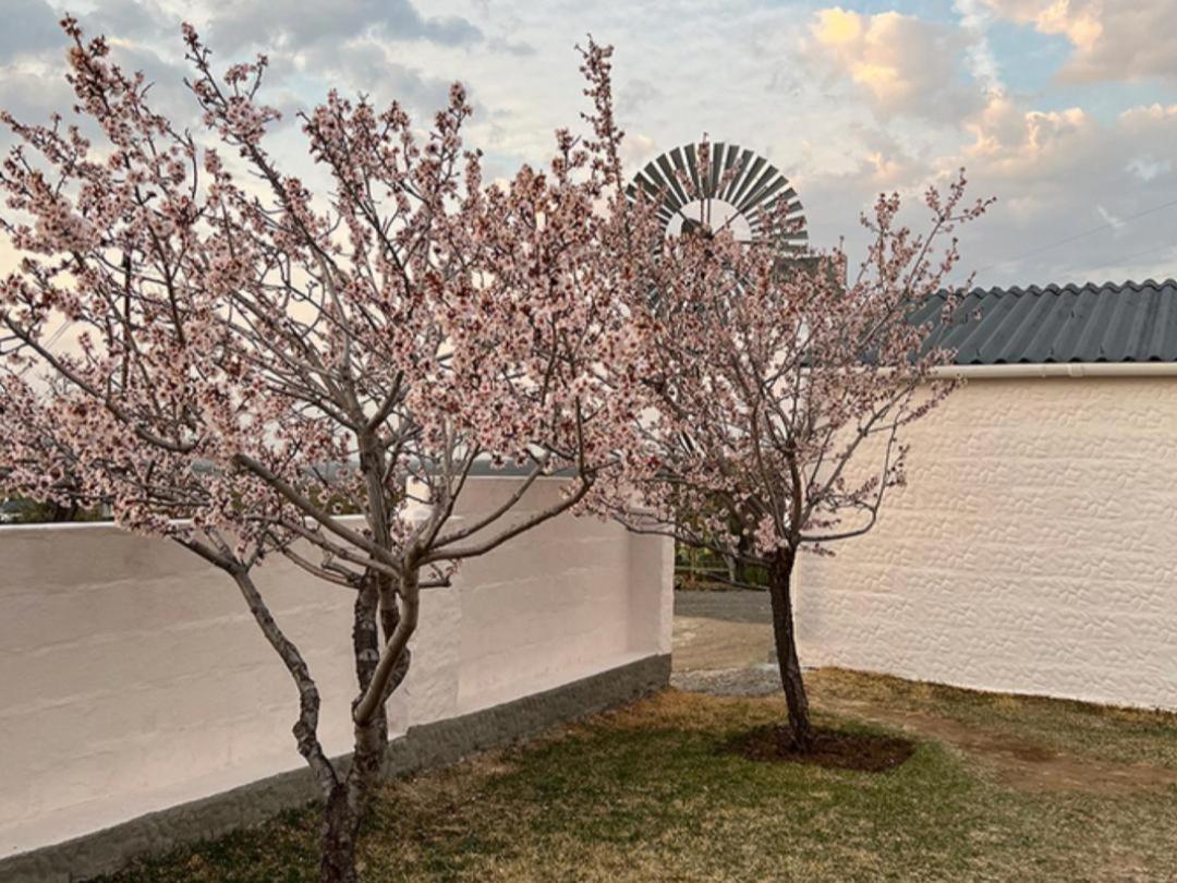 Rooikloof Guest Farm