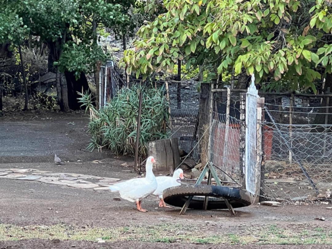 Rooikloof Guest Farm