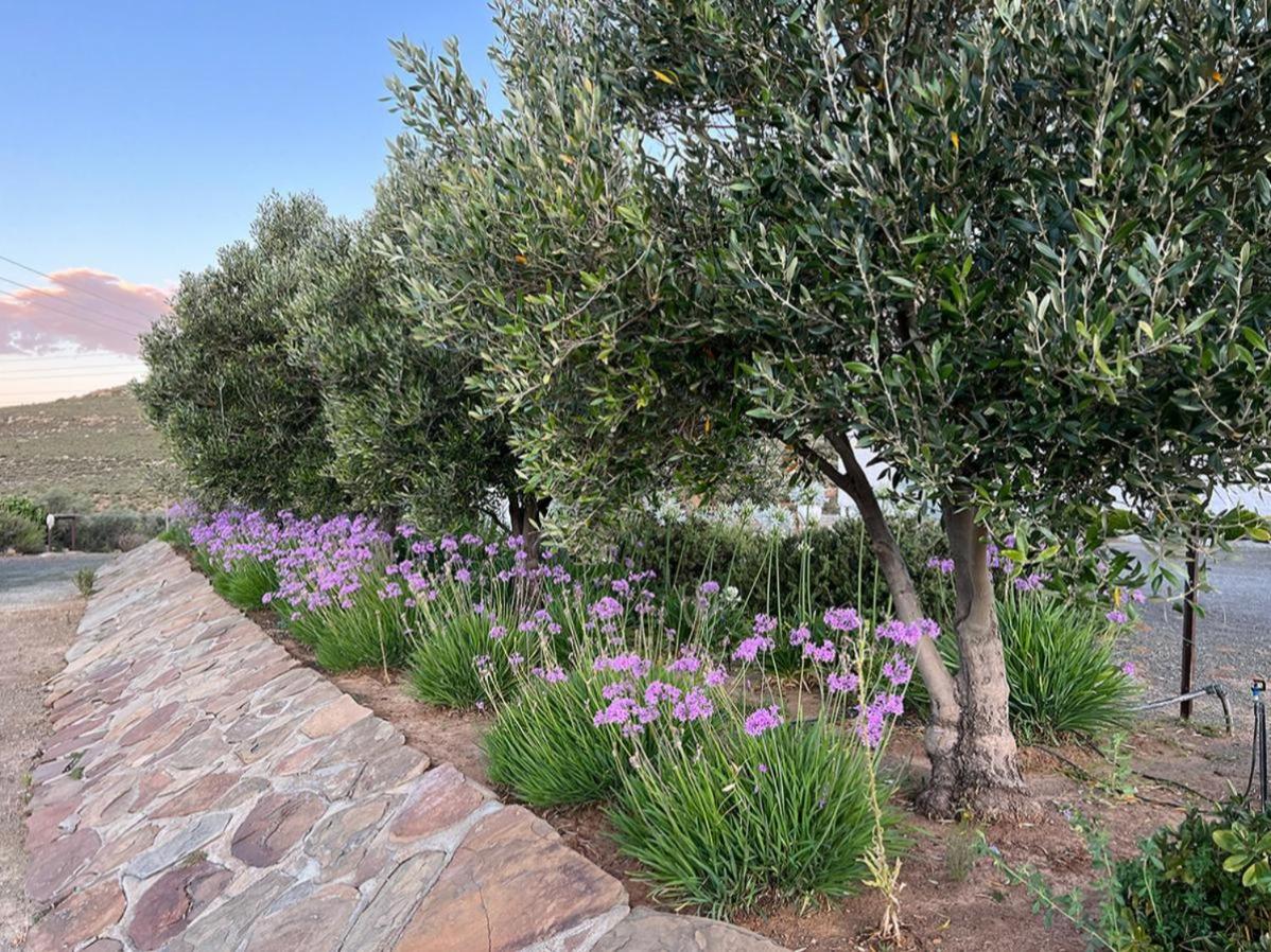 Rooikloof Guest Farm