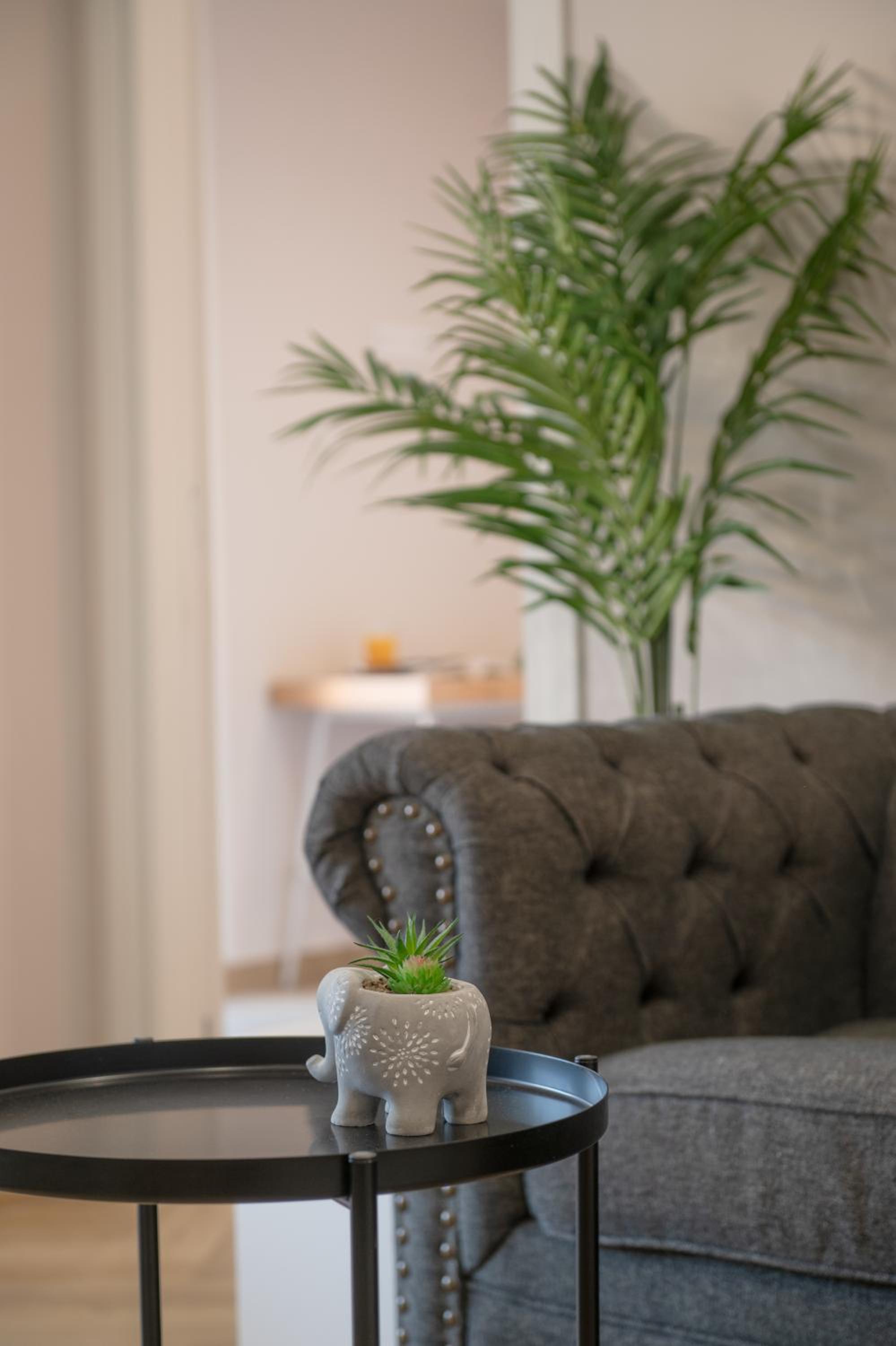 Dreamin Athens - Monastiraki Apartments