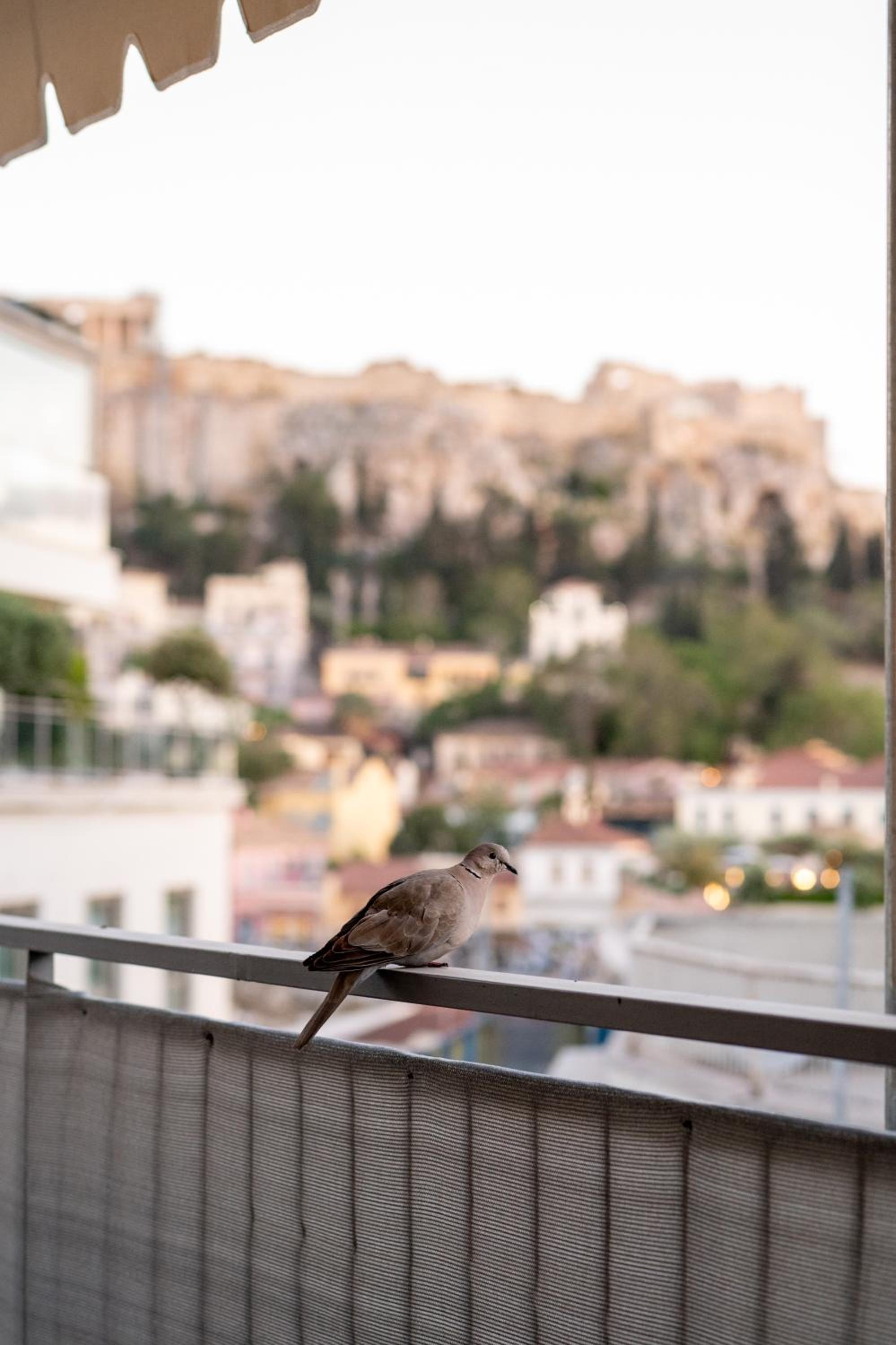 Dreamin Athens - Monastiraki Apartments