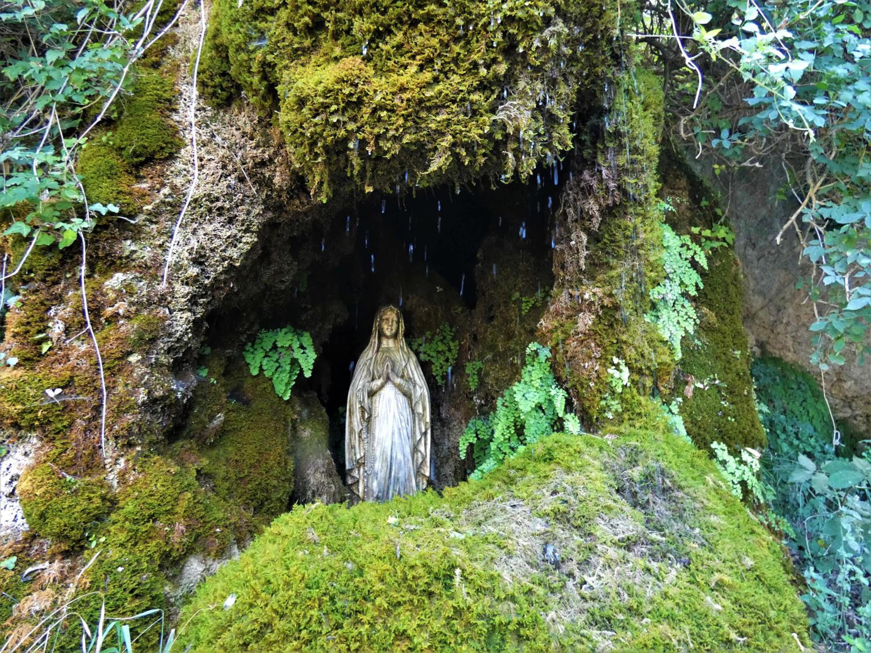 Photo 36
