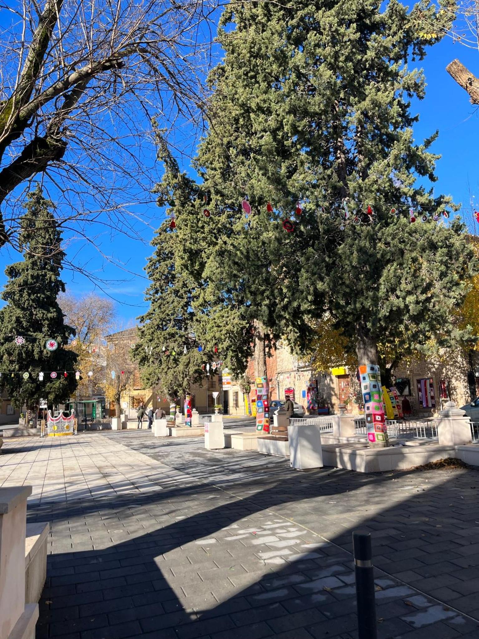 Photo 19
