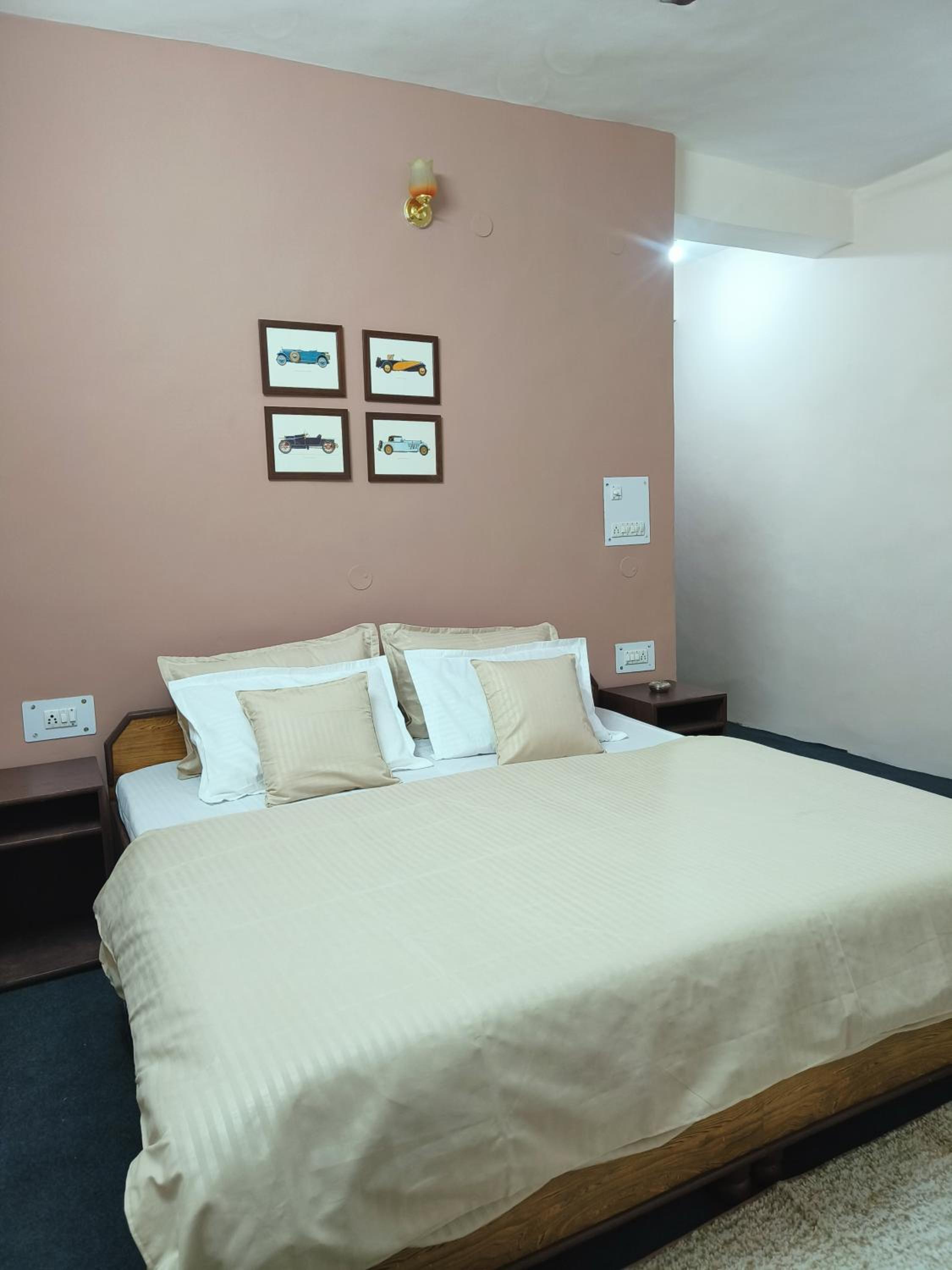 The Kailasha Homestay view 5