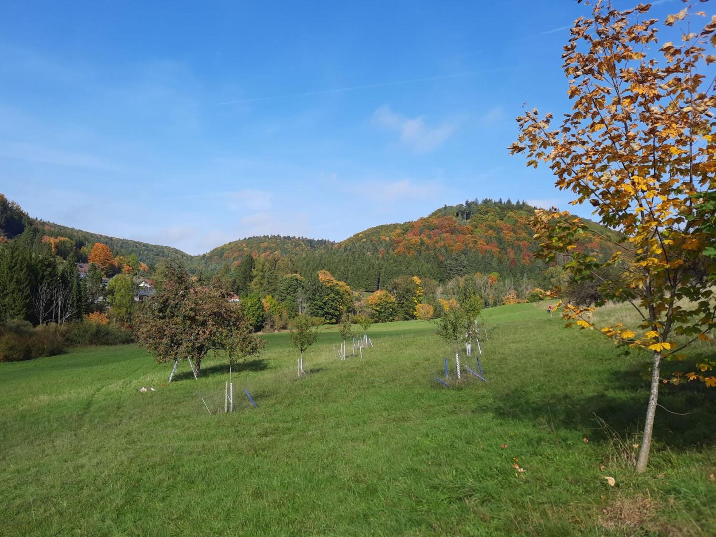 Ferienwohnung Im Eyachtal