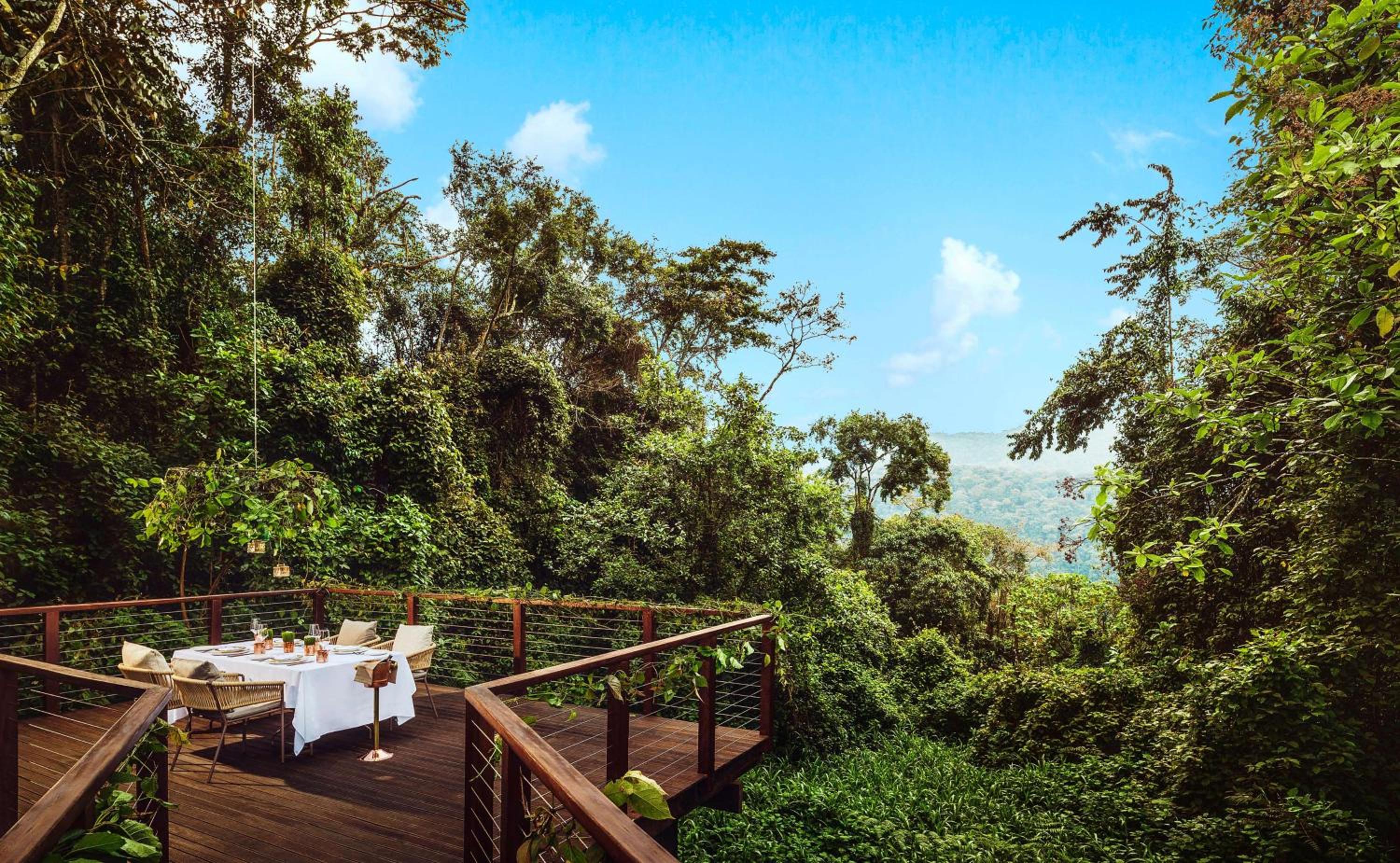 One&Only Nyungwe House